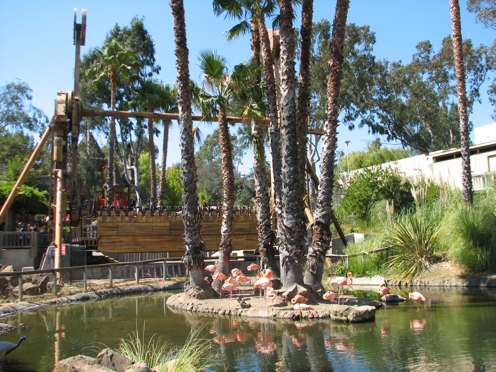 Flamingo Exhibit
