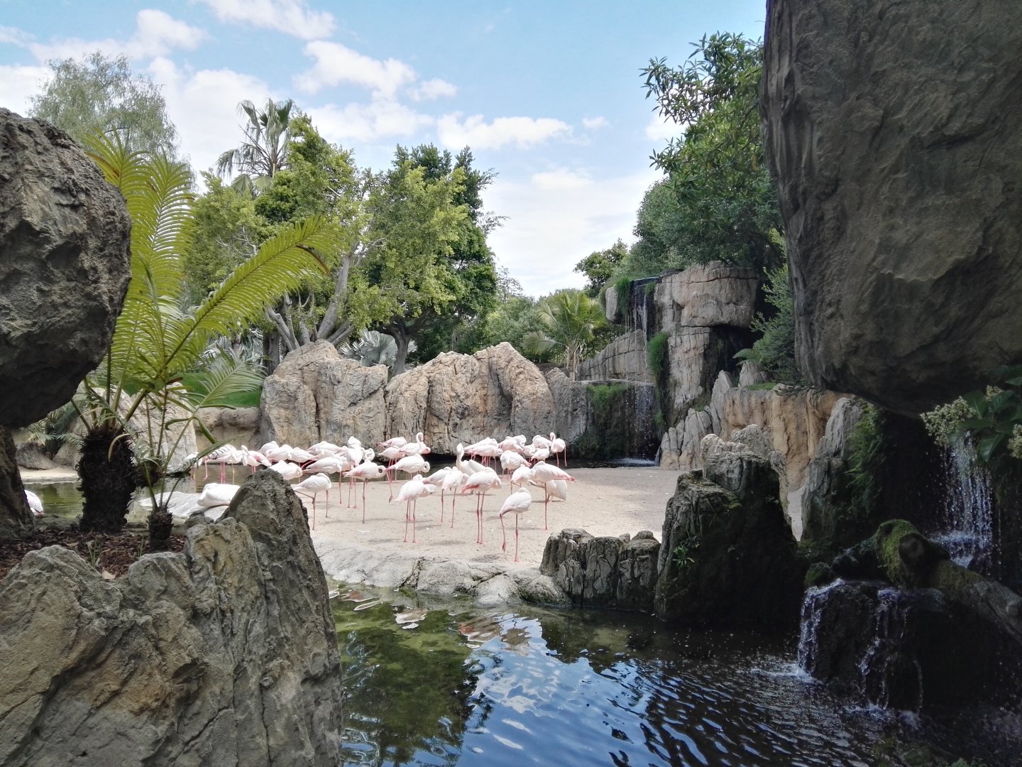 Flamingo exhibit