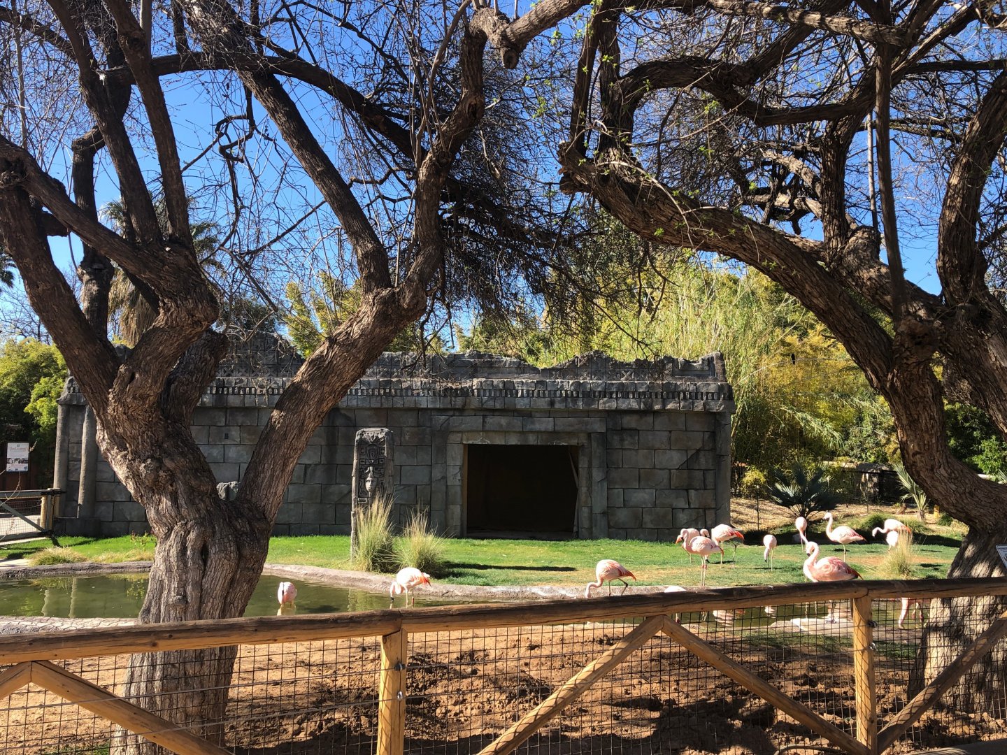 Flamingo Exhibit