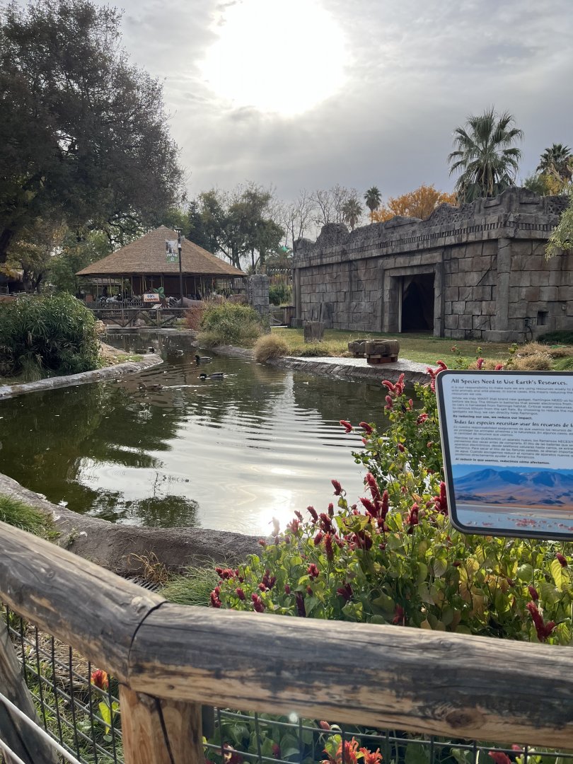 flamingo exhibit
