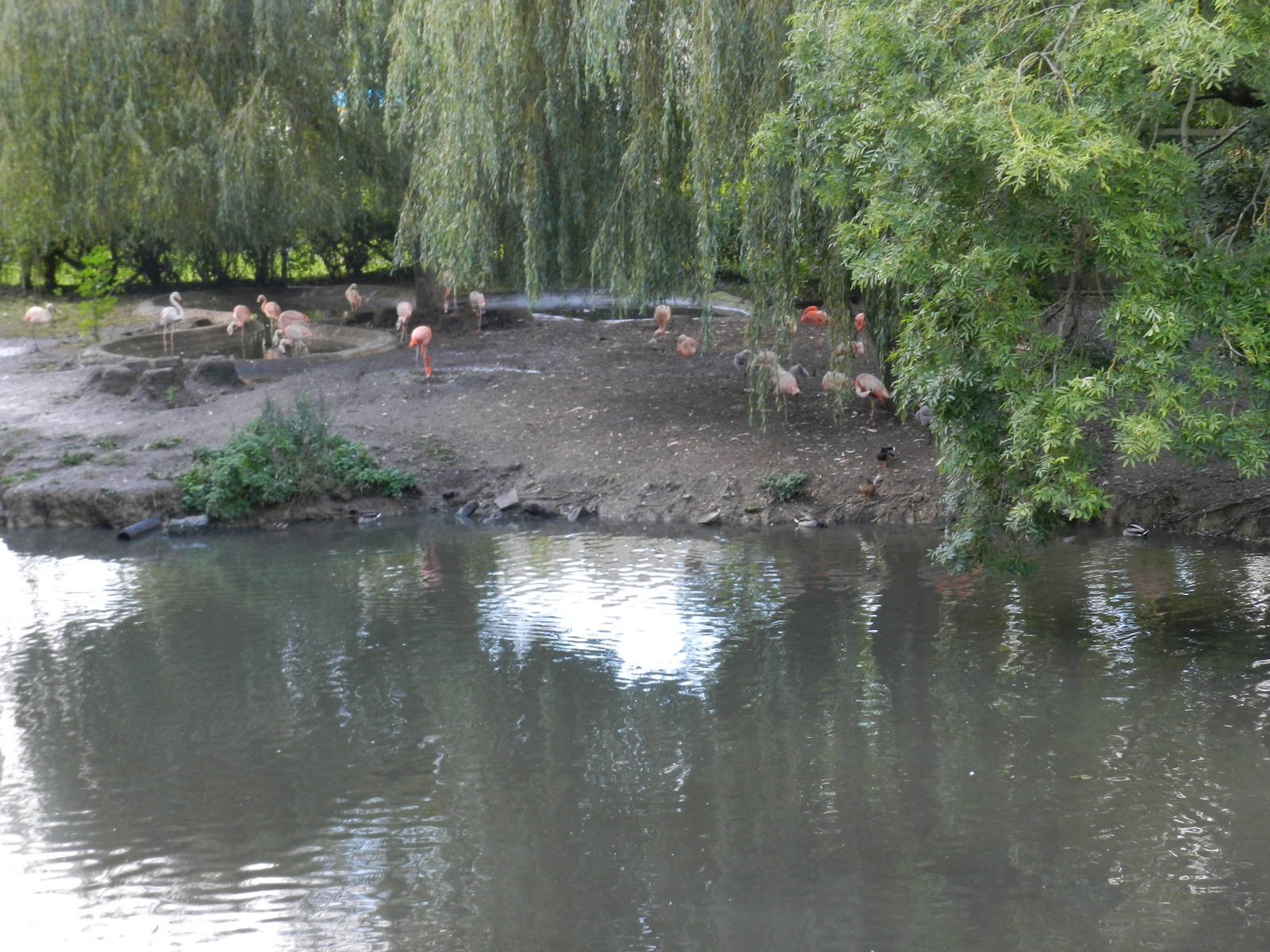 Flamingo Flats at Flamingo Land - 14/10/2012