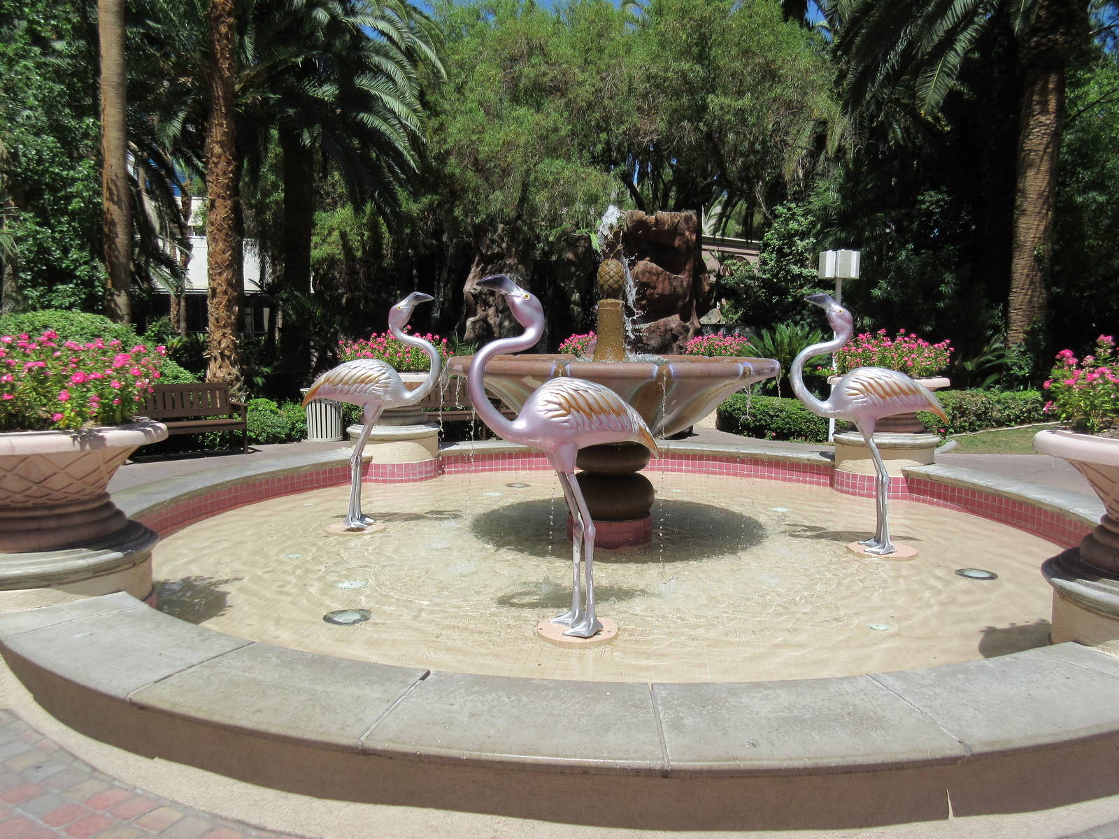 Flamingo Hotel (Nevada) - Wildlife Habitat