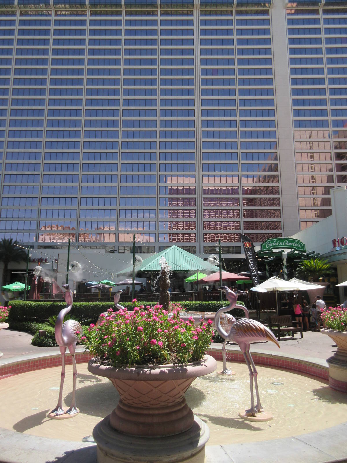 Flamingo Hotel (Nevada) - Wildlife Habitat