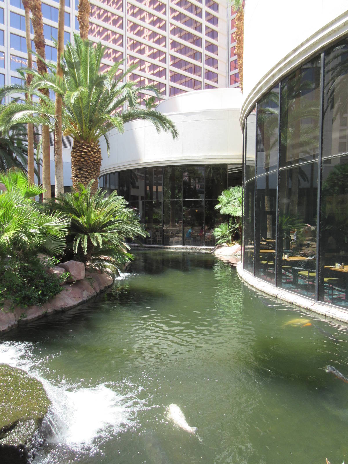 Flamingo Hotel (Nevada) - Wildlife Habitat
