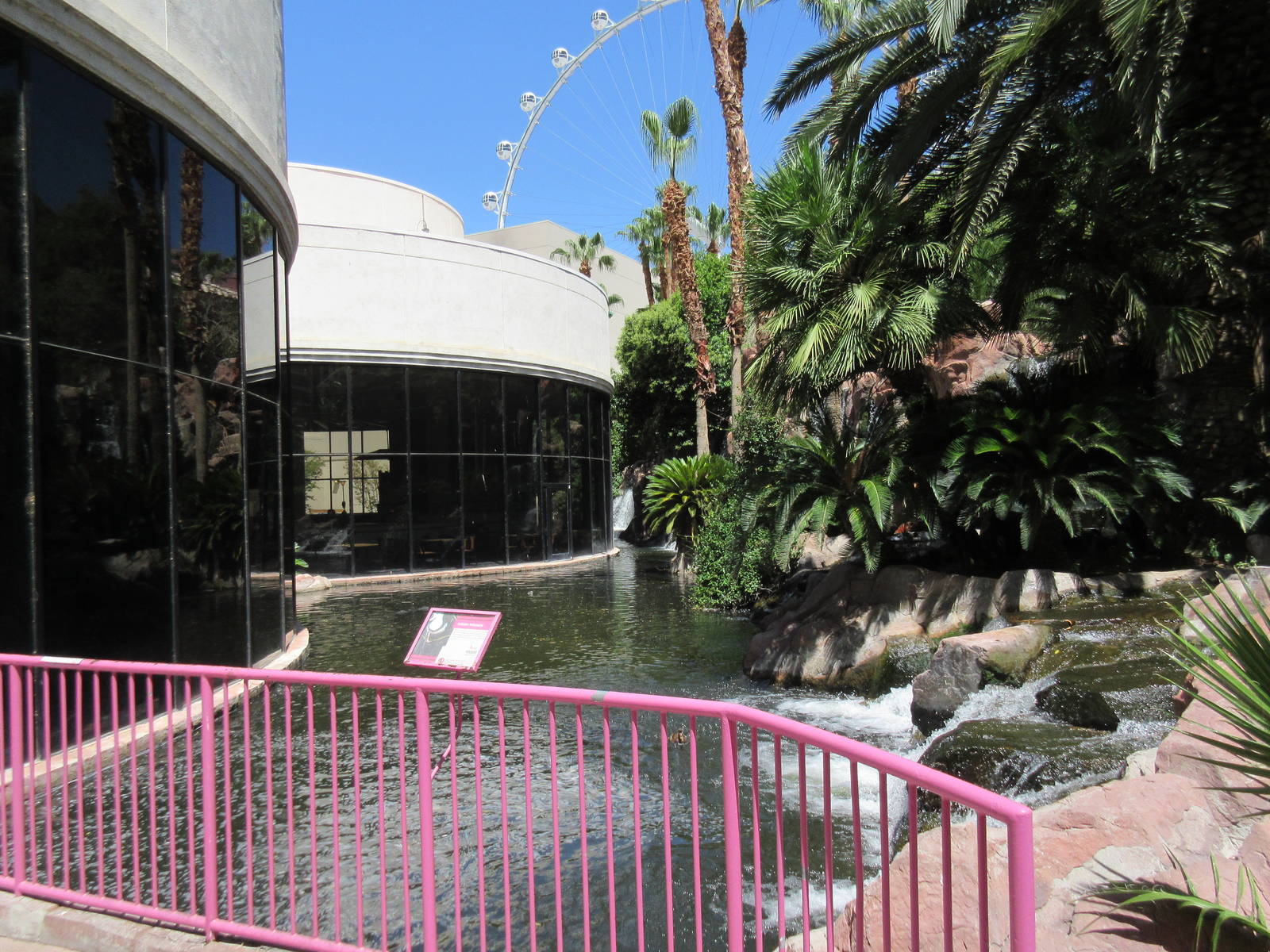 Flamingo Hotel (Nevada) - Wildlife Habitat