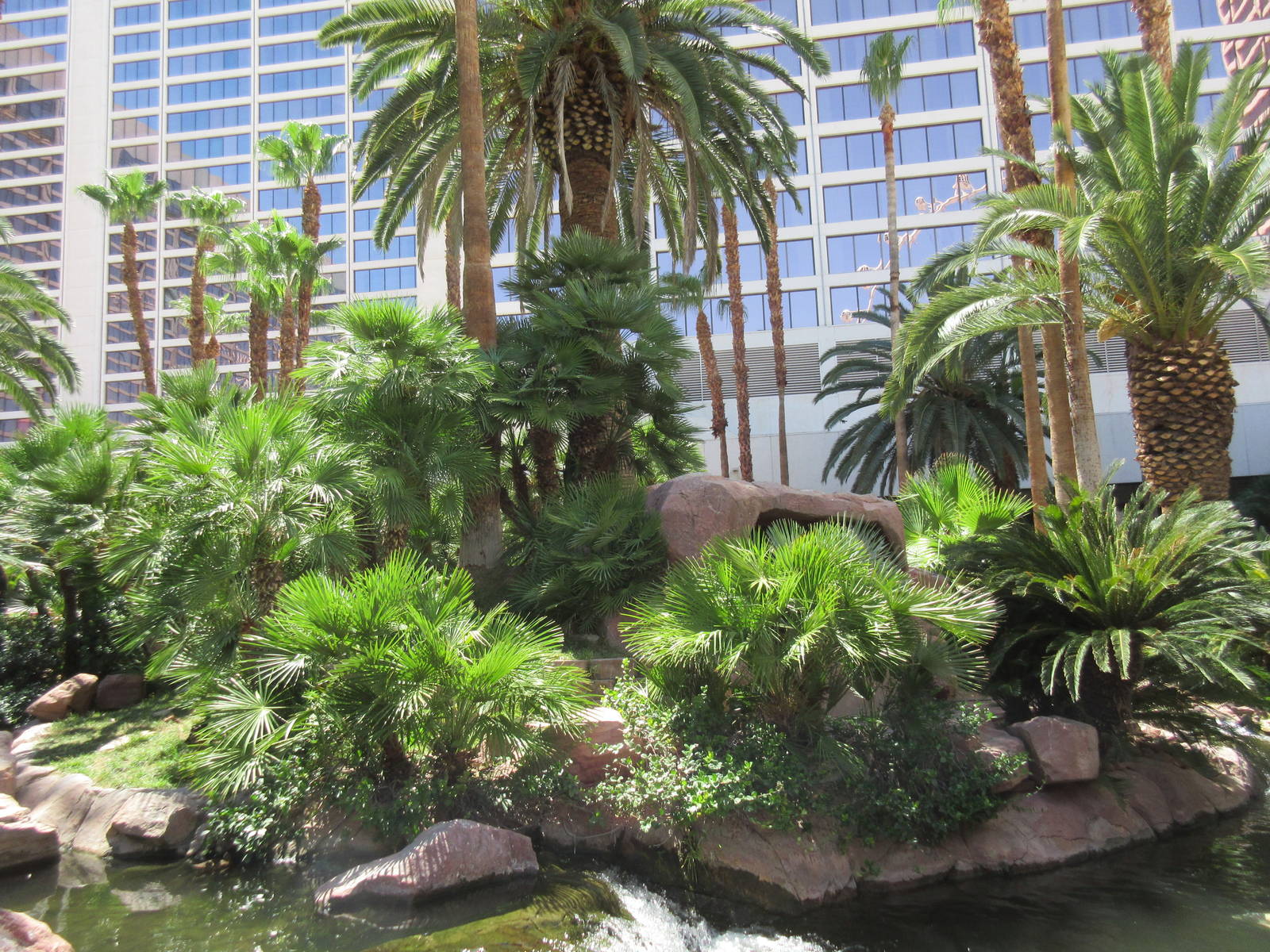 Flamingo Hotel (Nevada) - Wildlife Habitat