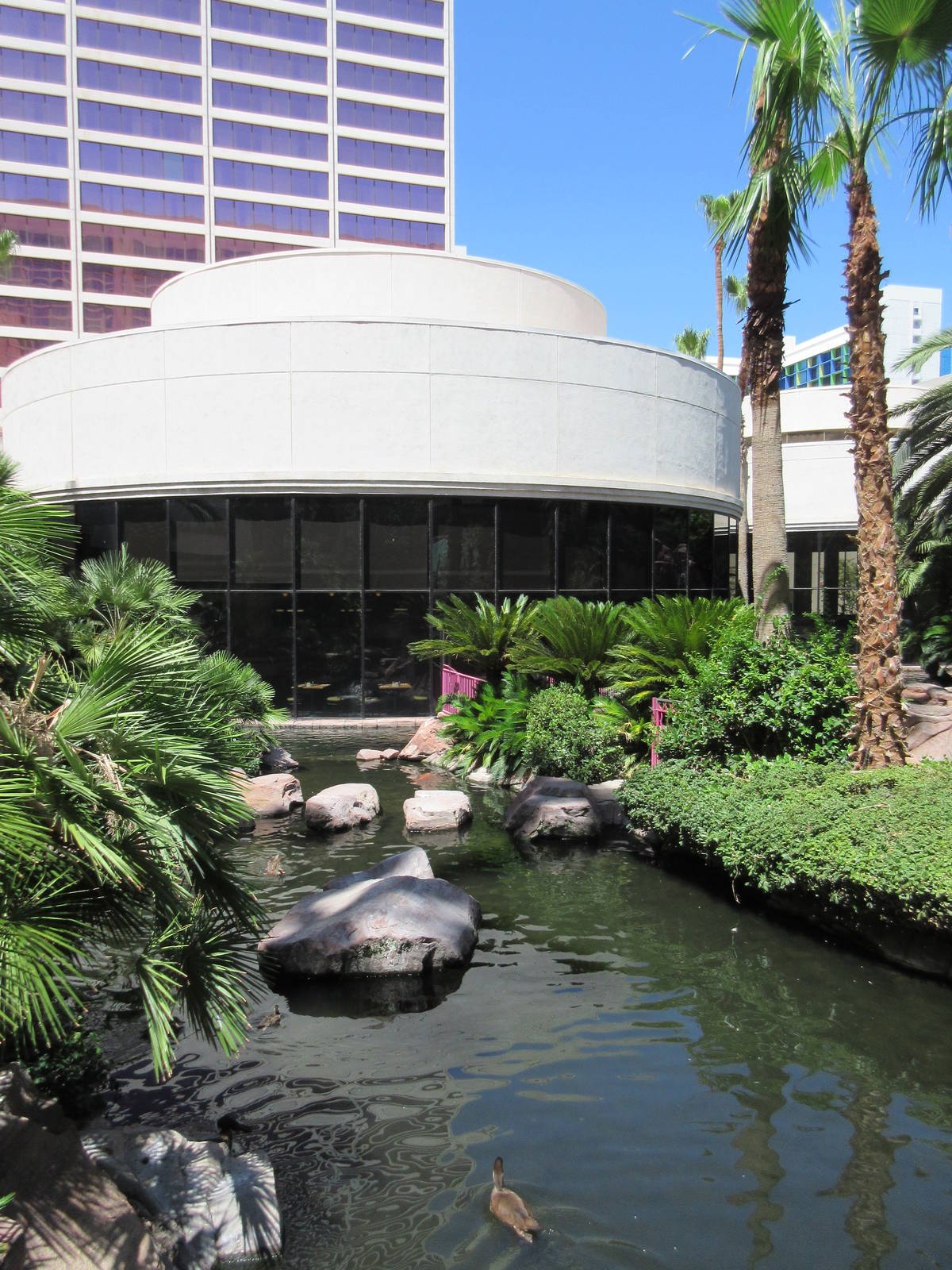 Flamingo Hotel (Nevada) - Wildlife Habitat