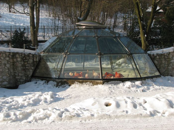 Flamingo house at Liberec zoo