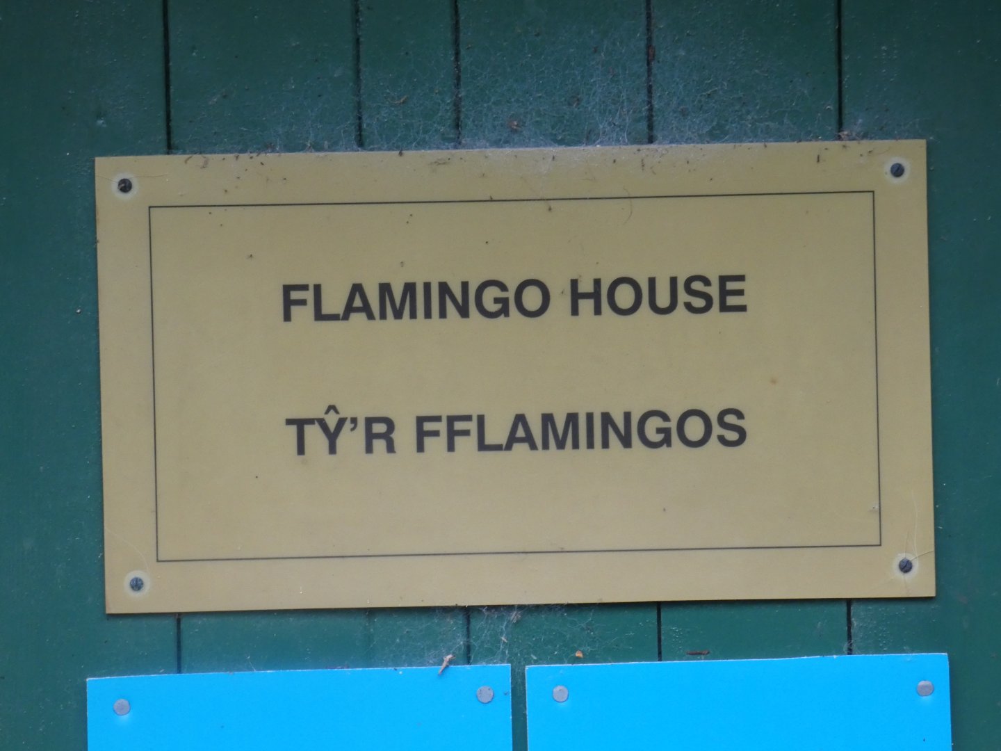 Flamingo house signage