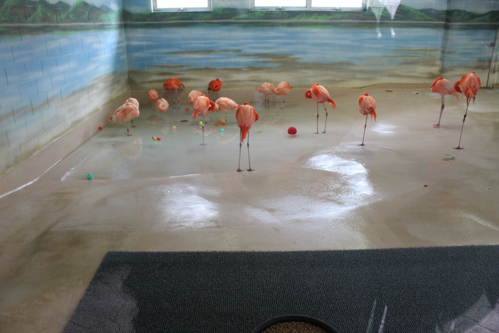Flamingo House