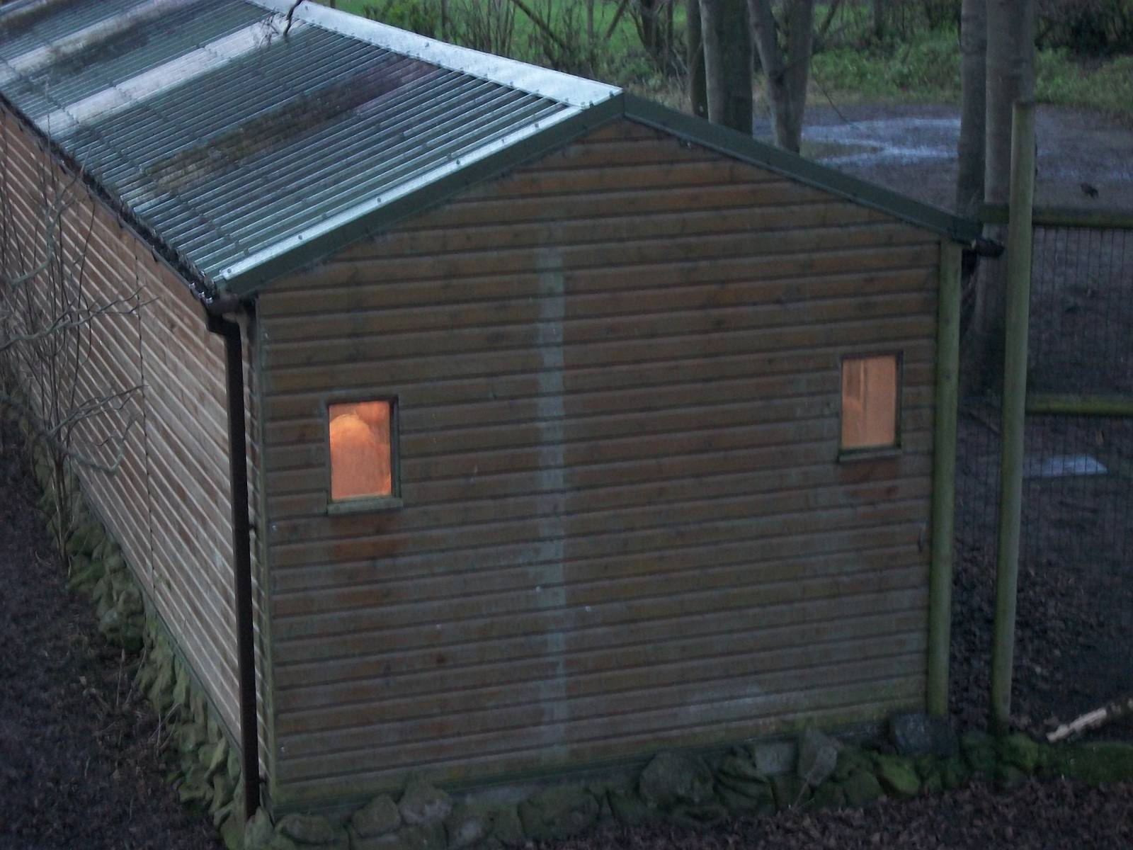 Flamingo housing, 3rd January 2014