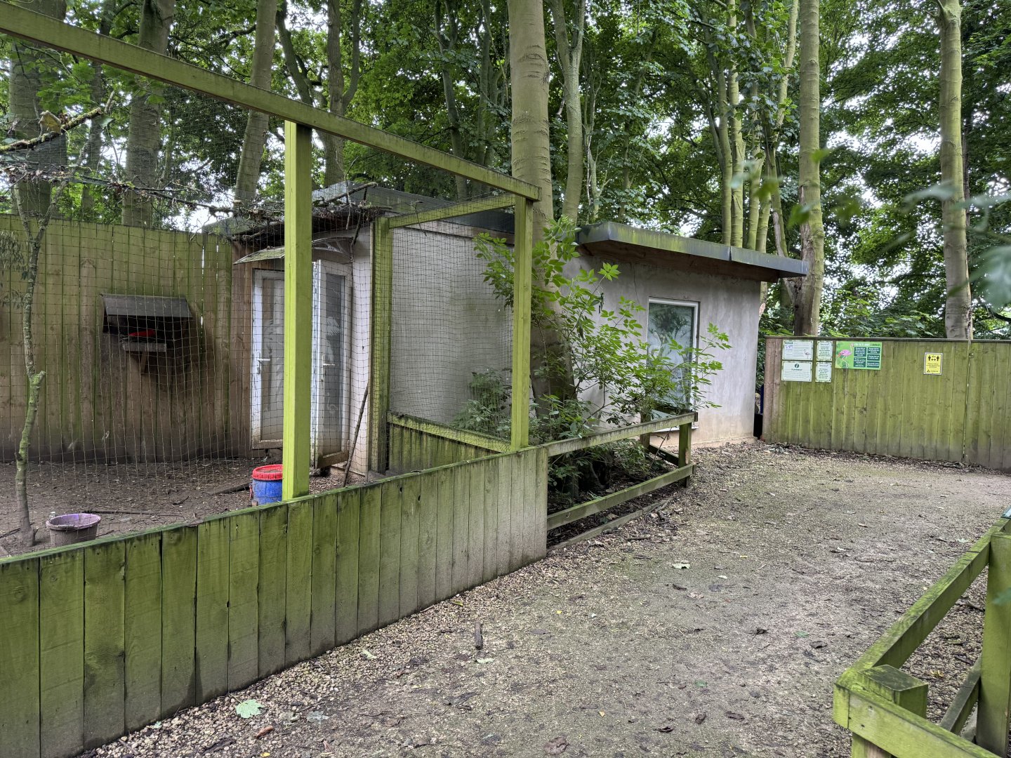 Flamingo Housing at Bridlington Animal Park (July 2024)