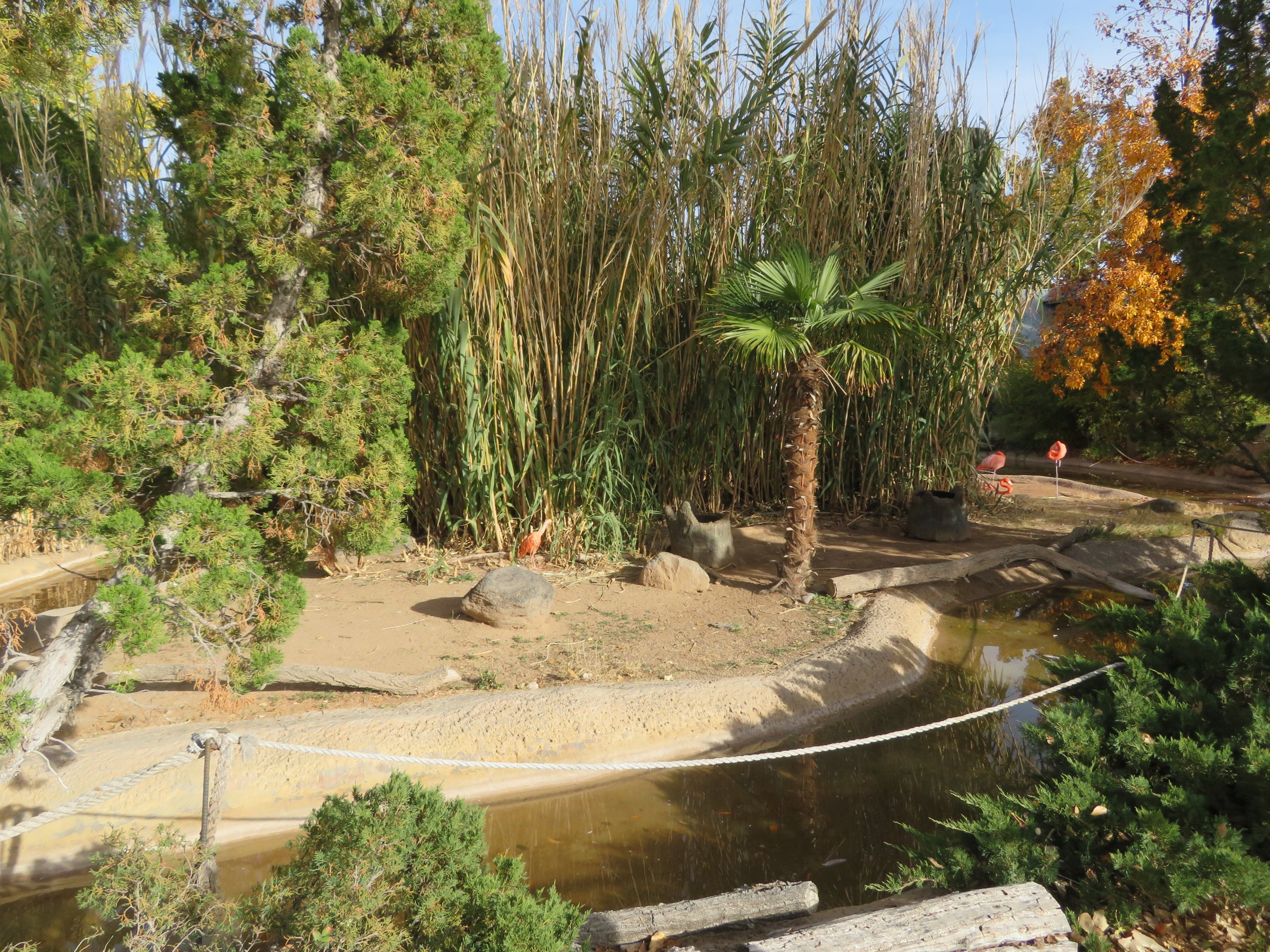 Flamingo/Ibis Lagoon (Back Side)