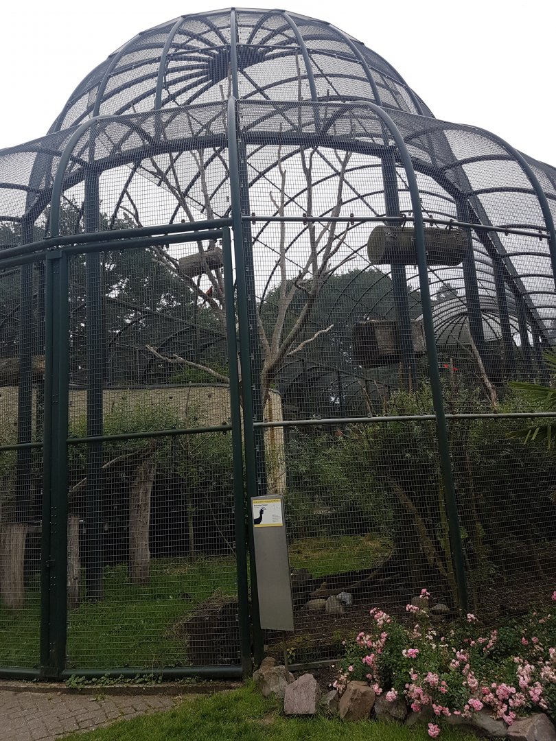 Flamingo - Ibis - Macaw aviary