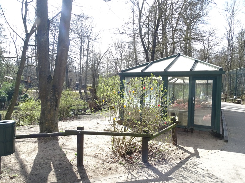 Flamingo indoor enclosure