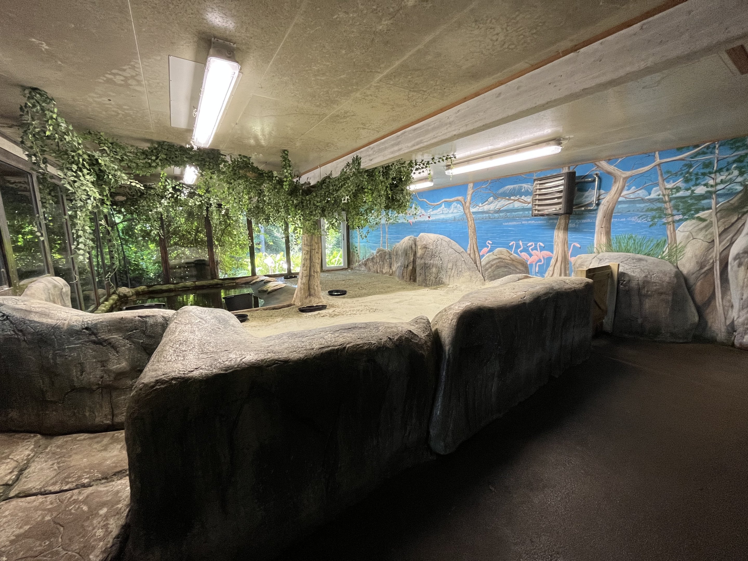 Flamingo Indoor Exhibit