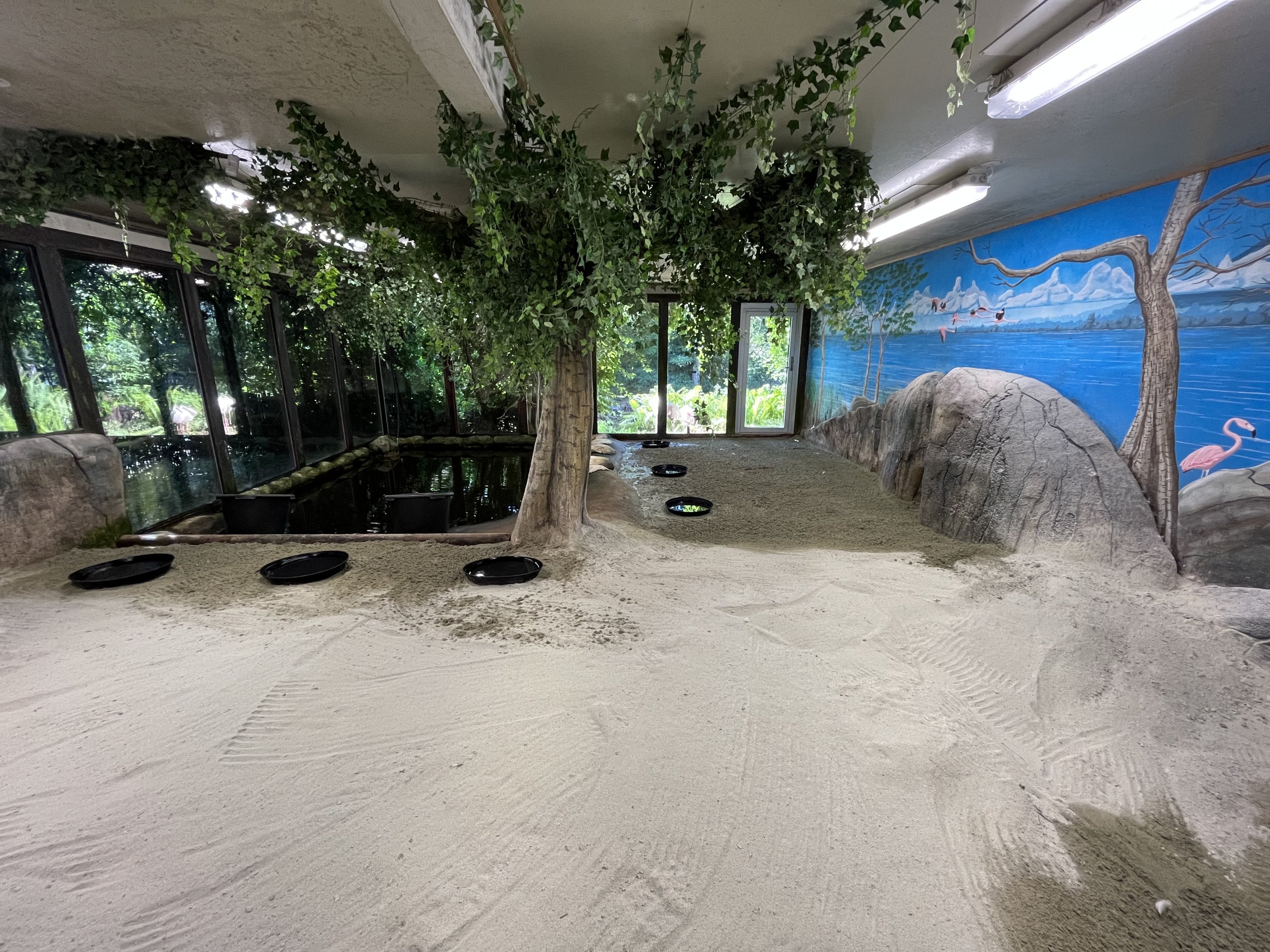 Flamingo Indoor Exhibit