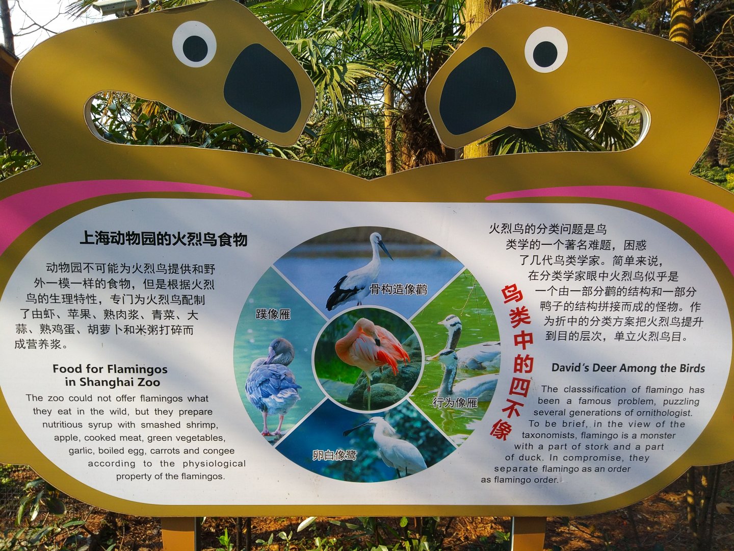 Flamingo Interpretation Sign