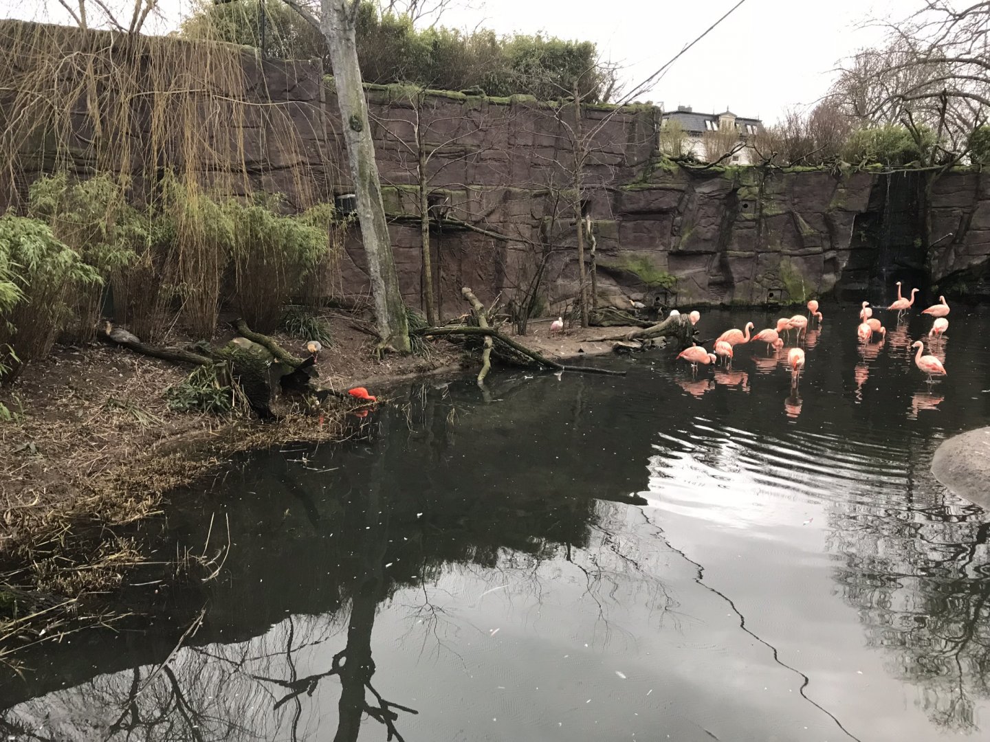 Flamingo Lagoon 280118