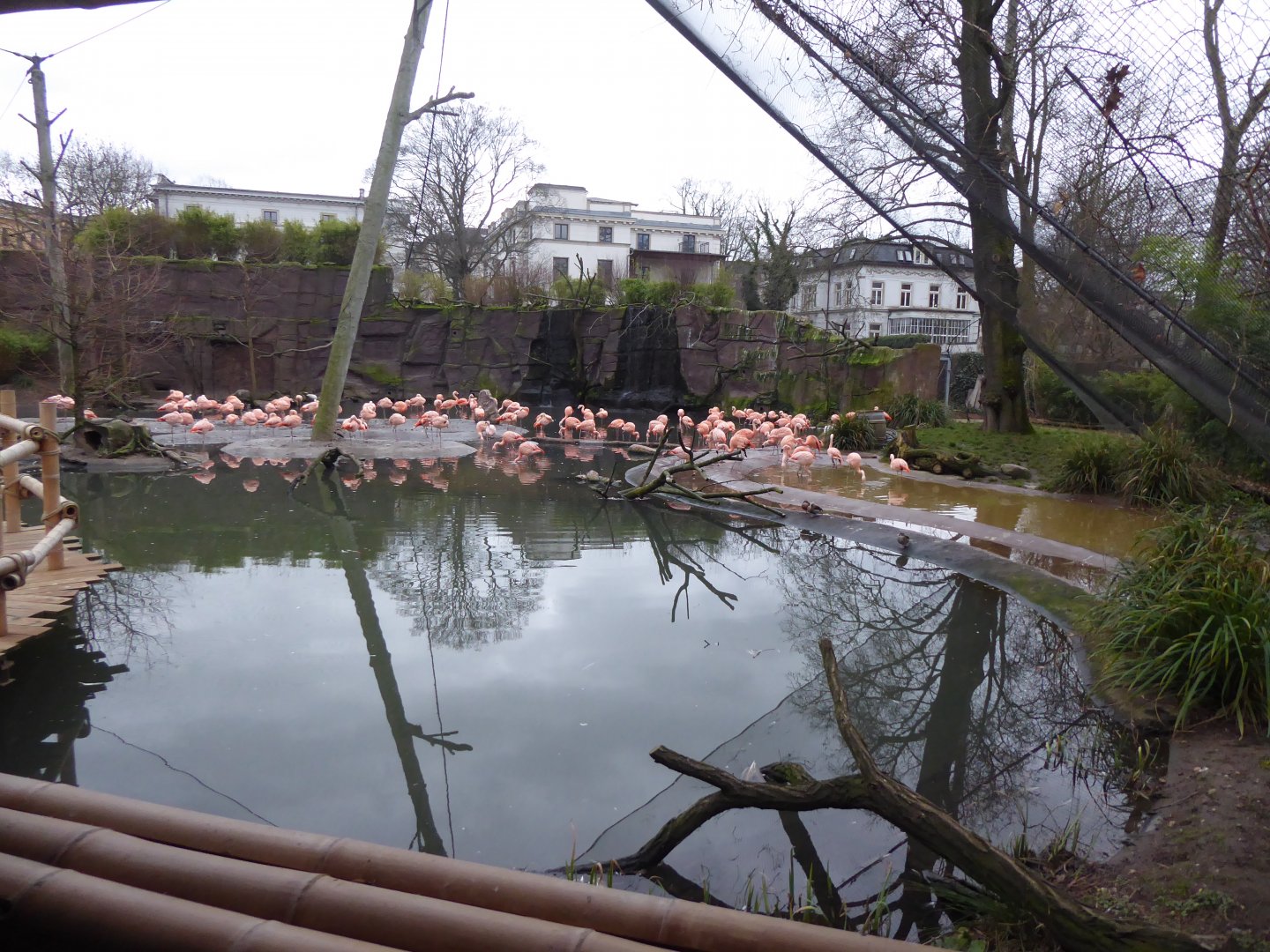 Flamingo Lagoon 280118