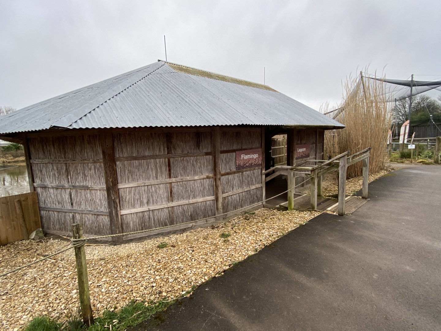 Flamingo Lagoon 290224