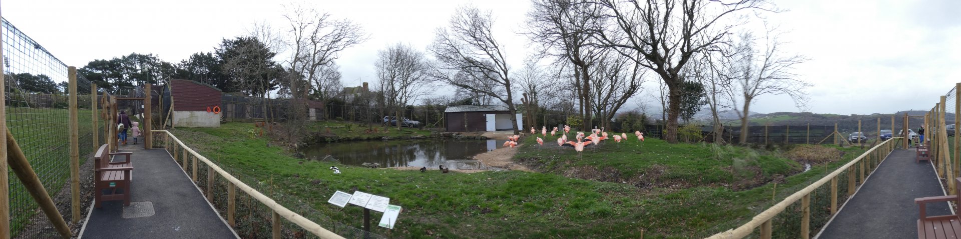 Flamingo Lagoon Enclosure