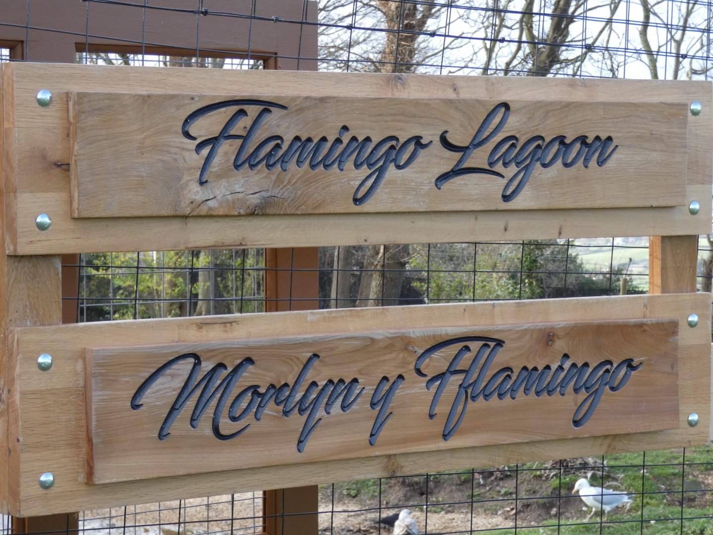 Flamingo Lagoon Entrance Signage