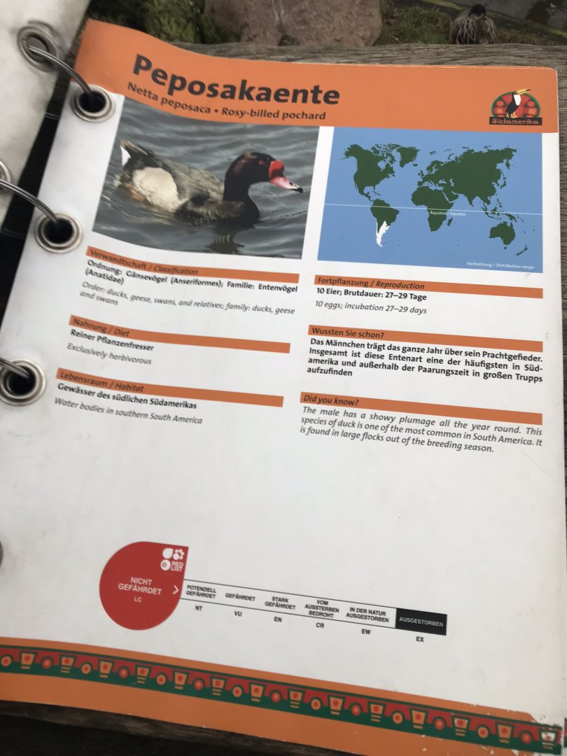 Flamingo Lagoon - ID Booklet 280118