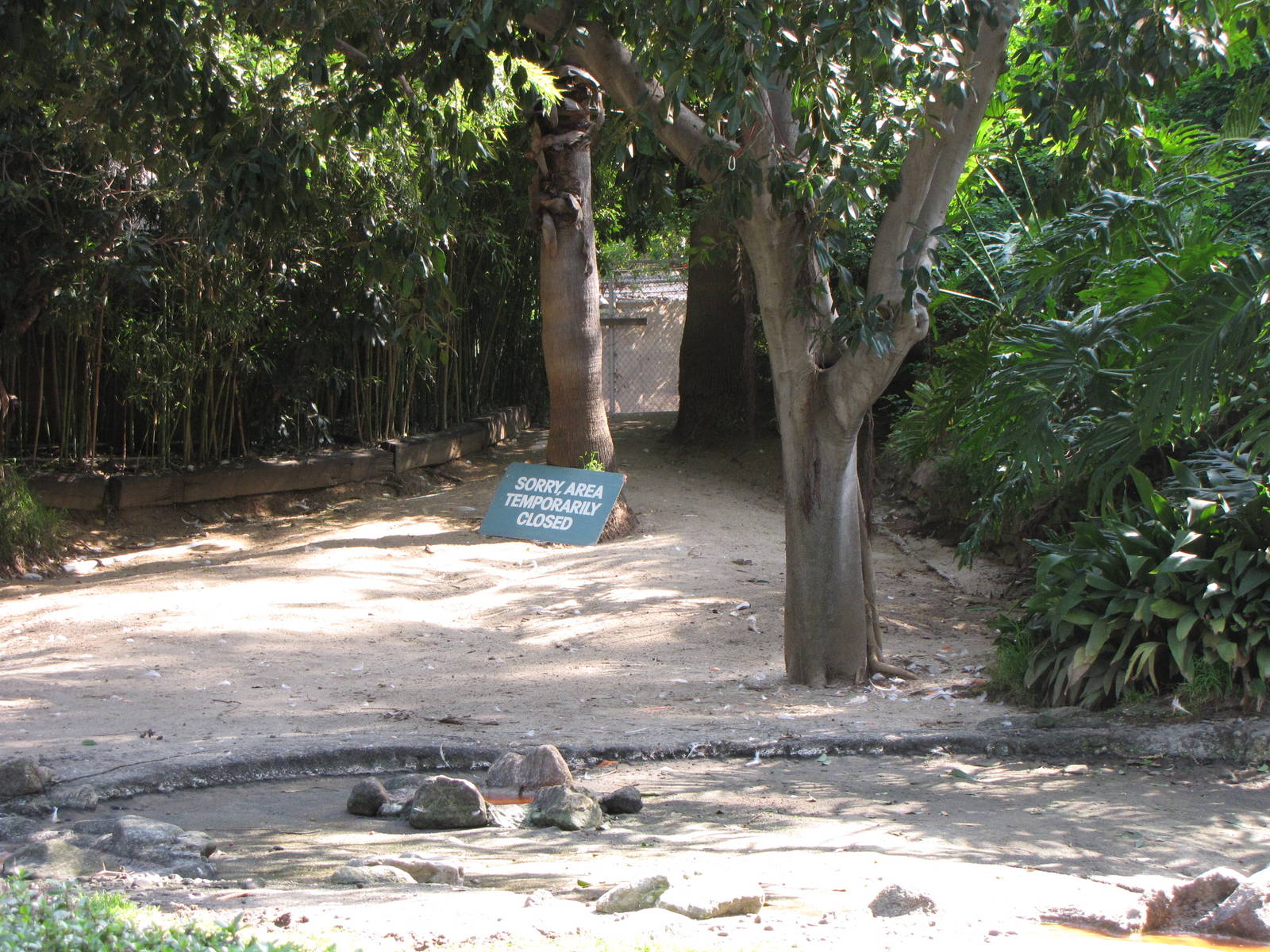 Flamingo Lagoon Temporarily Closed