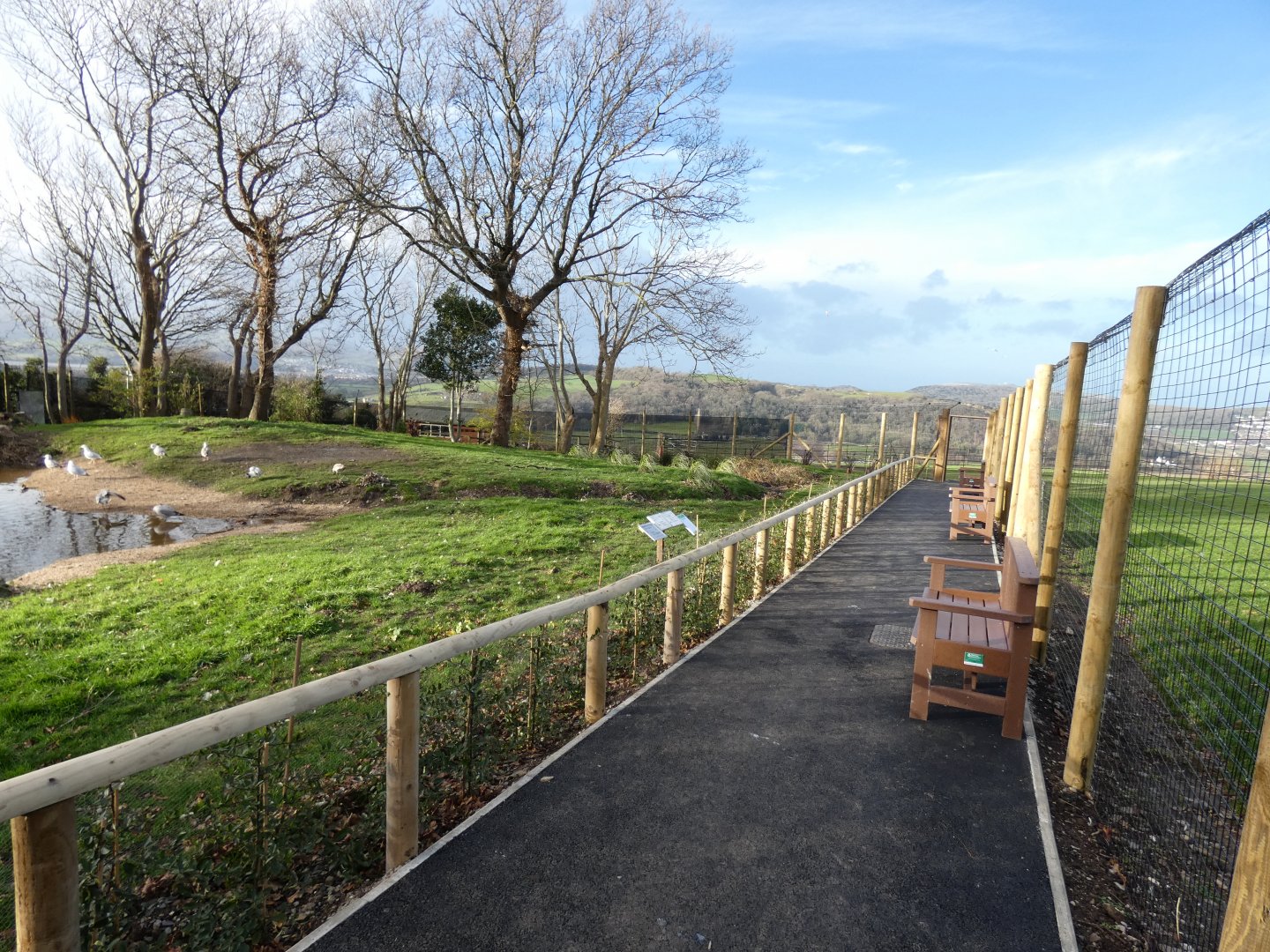 Flamingo Lagoon Viewing Area