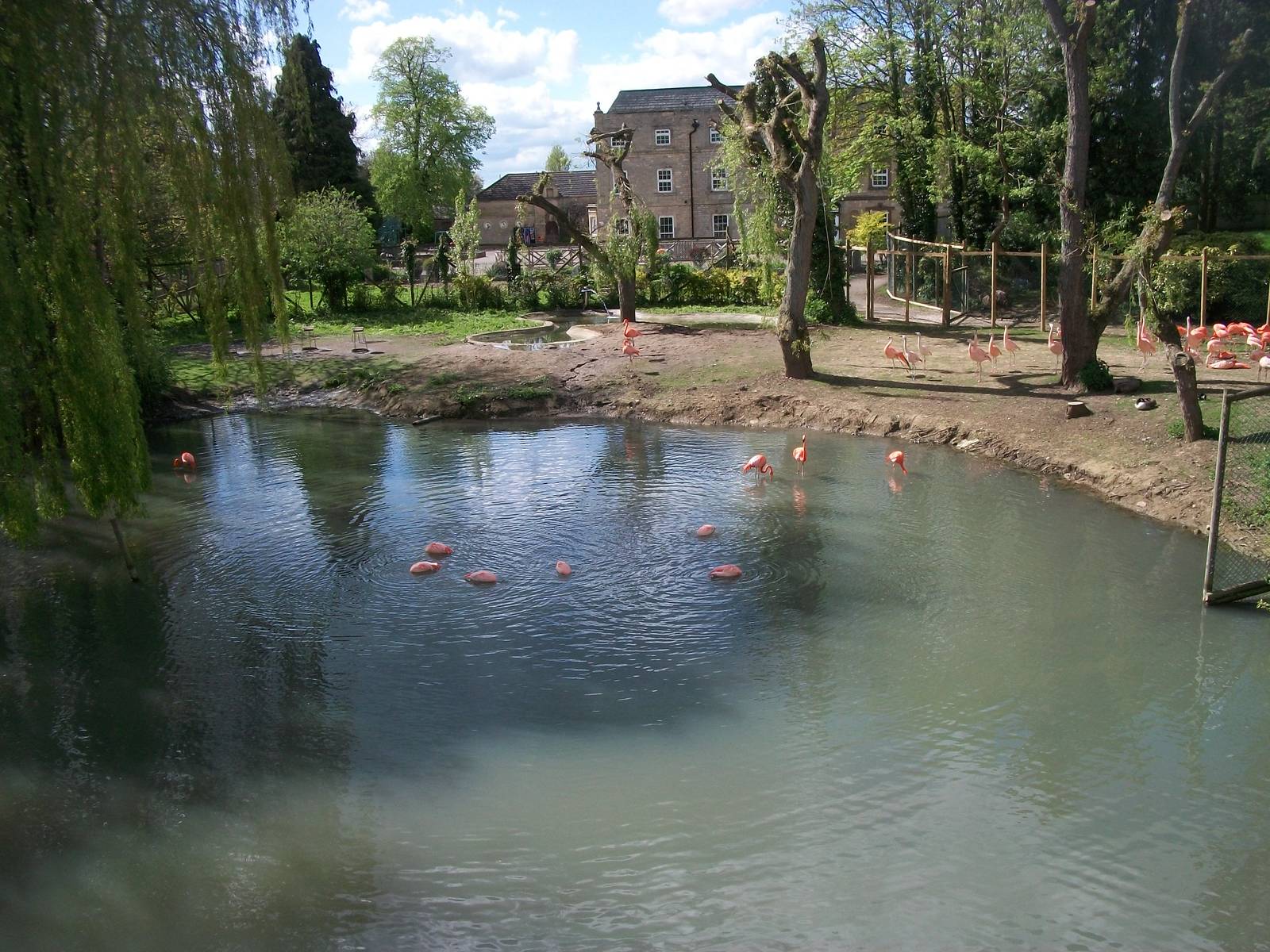 Flamingo Lake, 6th May 2014