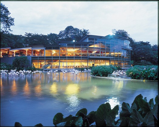 Flamingo Lake at dusk, Jurong BirdPark