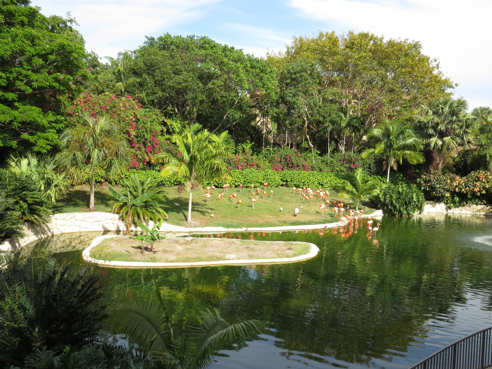 Flamingo lake, March 2015