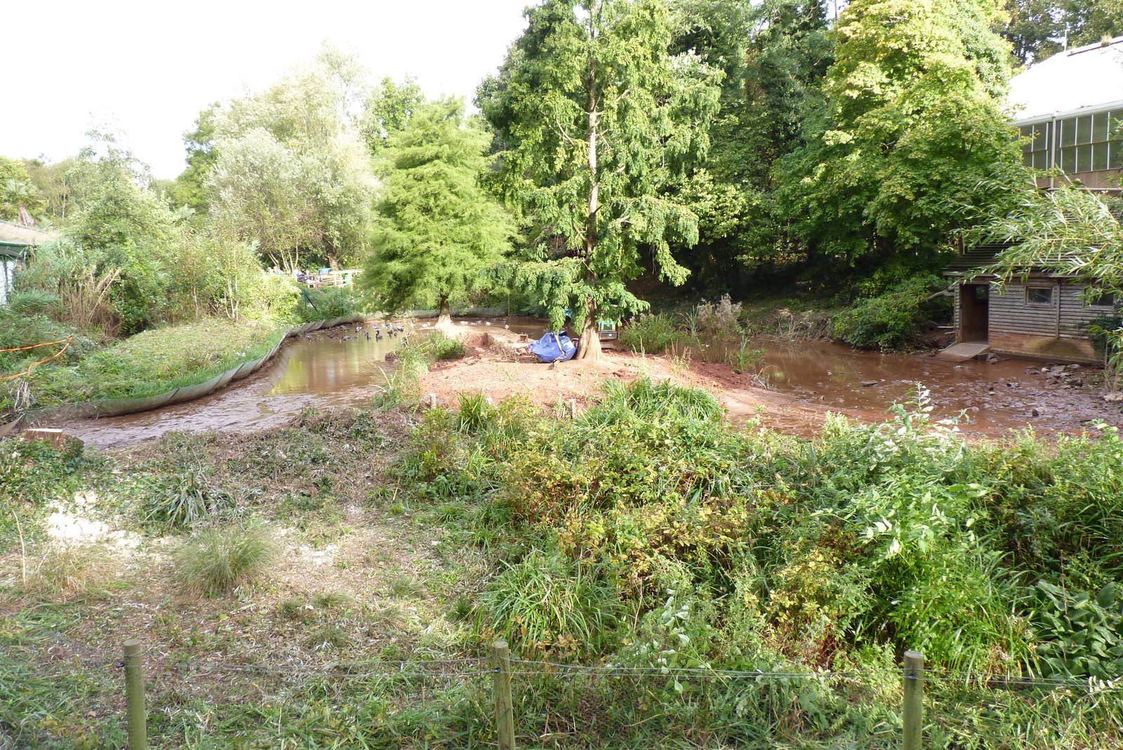 Flamingo lake, October 2016