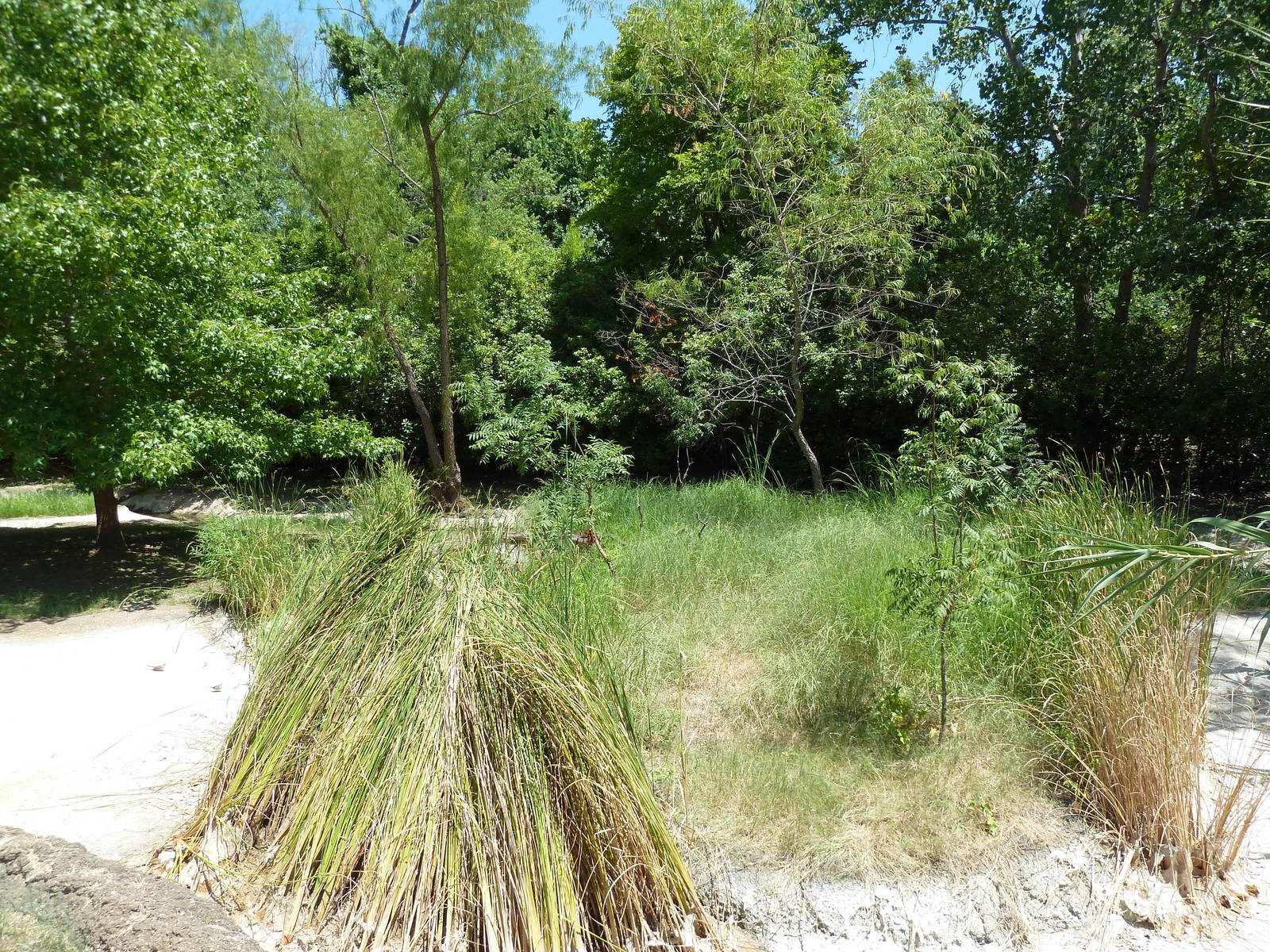 Flamingo/Open-Billed Stork/Spoonbill/Sacred Ibis Exhibit