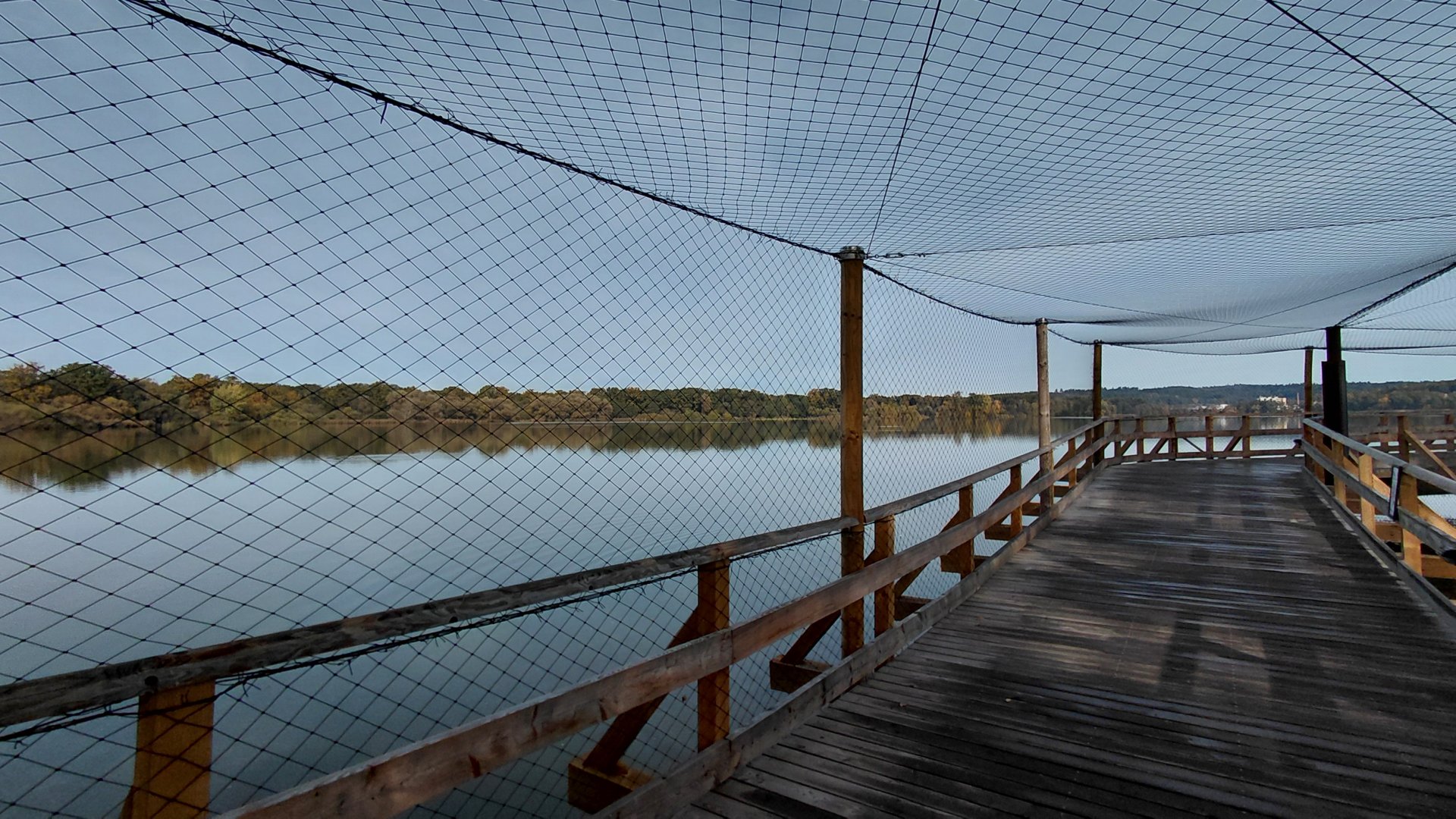 Flamingo + pelican walk-in aviary