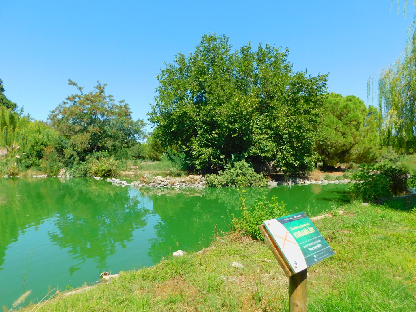 Flamingo pond minus the flaingoes