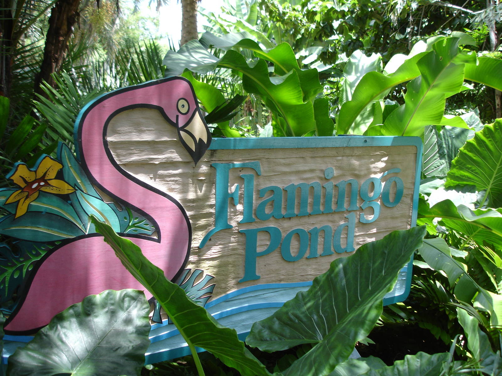 Flamingo Pond Sign
