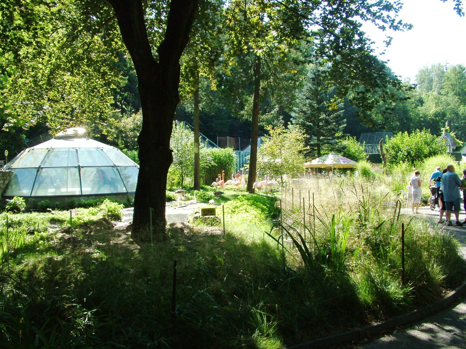 Flamingo Pool at Liberec, 28/08/12