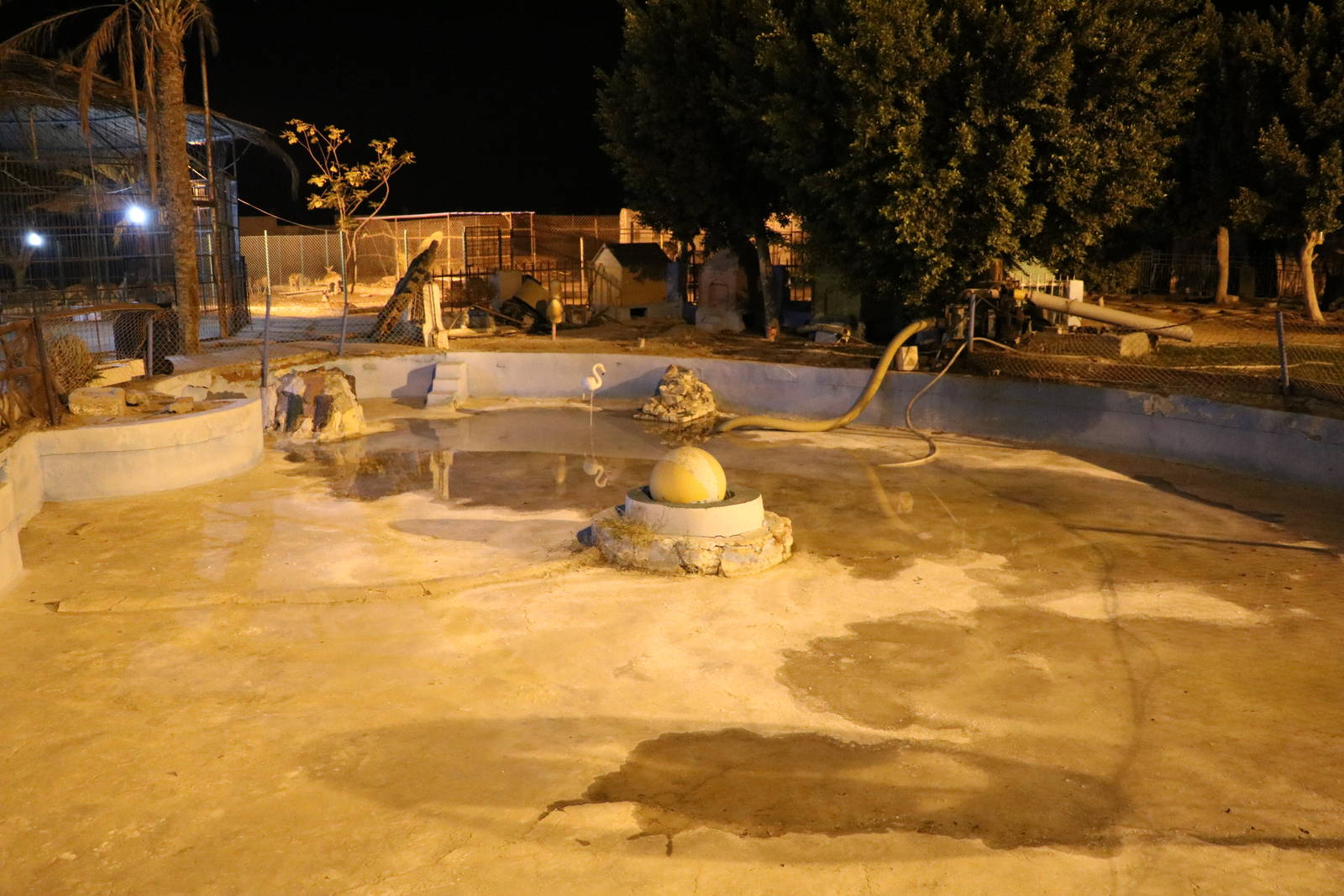 Flamingo pool by night, October 2015