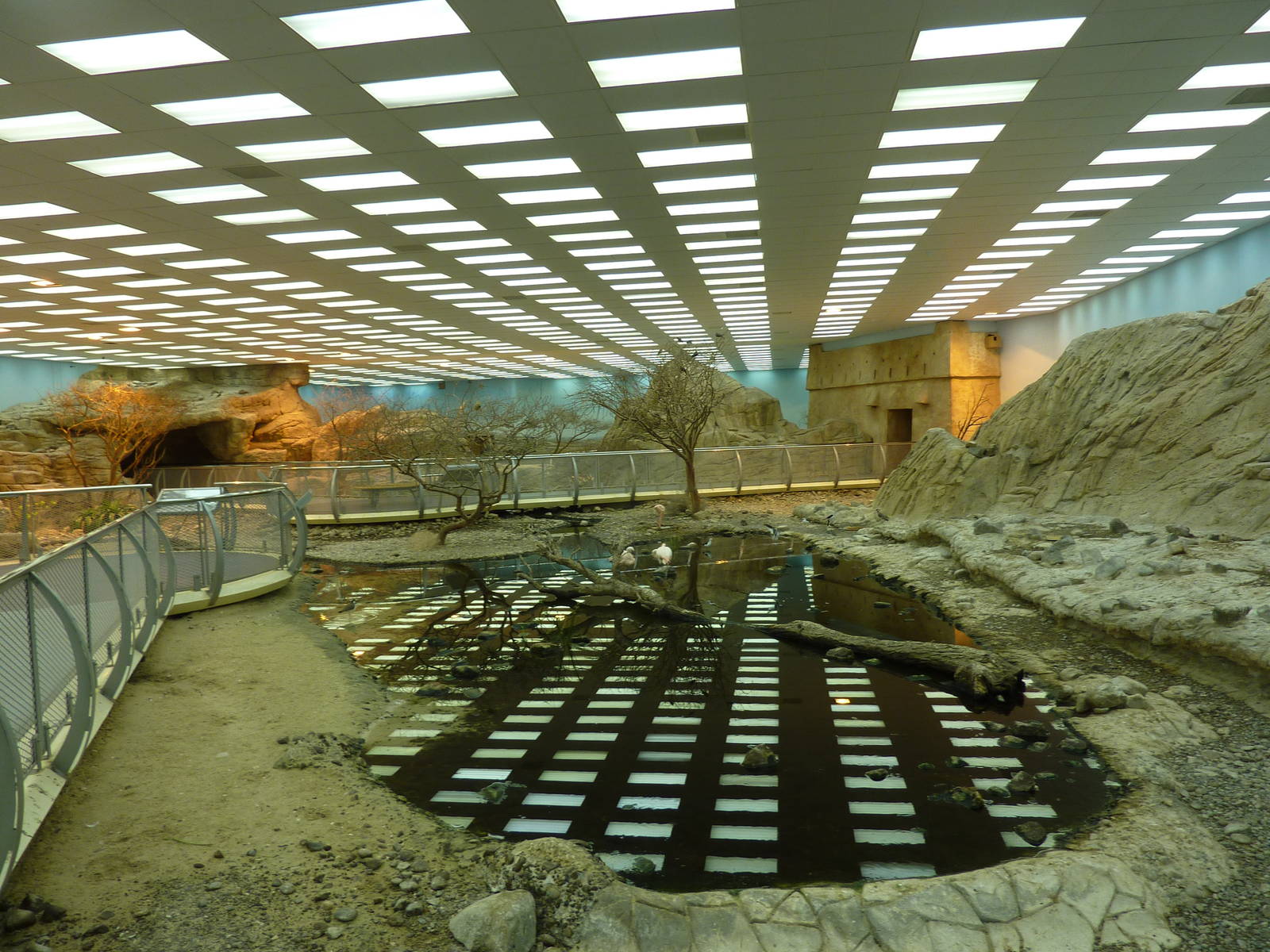 Flamingo pool in main aviary, December 2011.