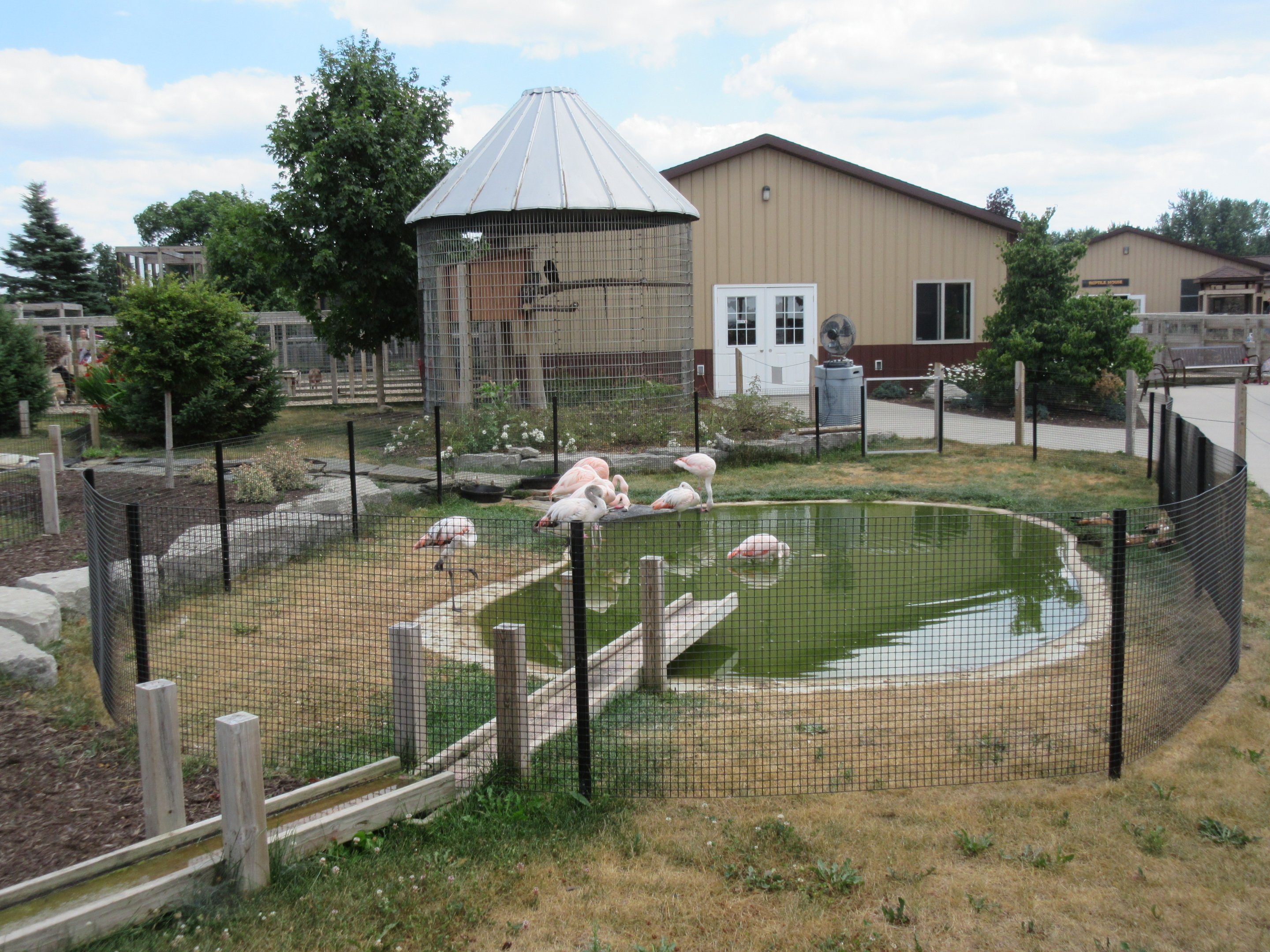 Flamingo Pool (very small)