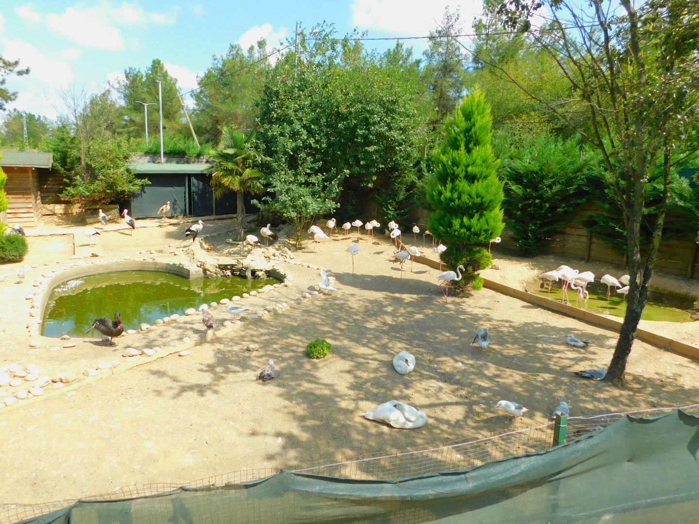 Flamingo, Seagull, and Stork Enclosure at Park Of Istanbul