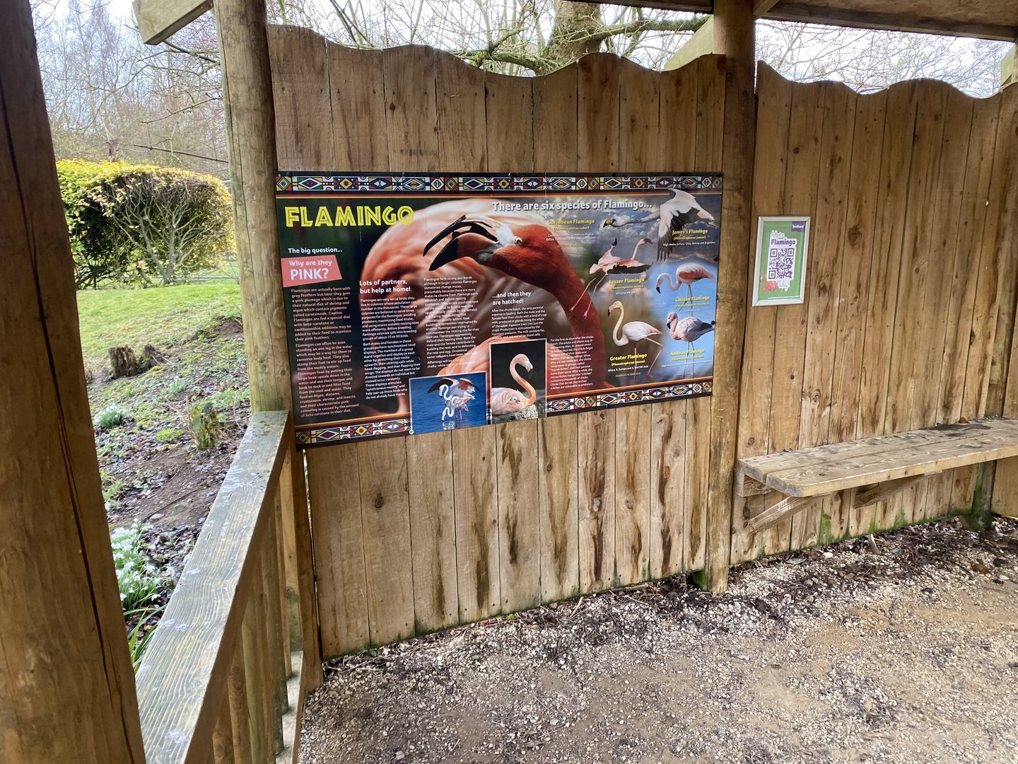 Flamingo signage 010323