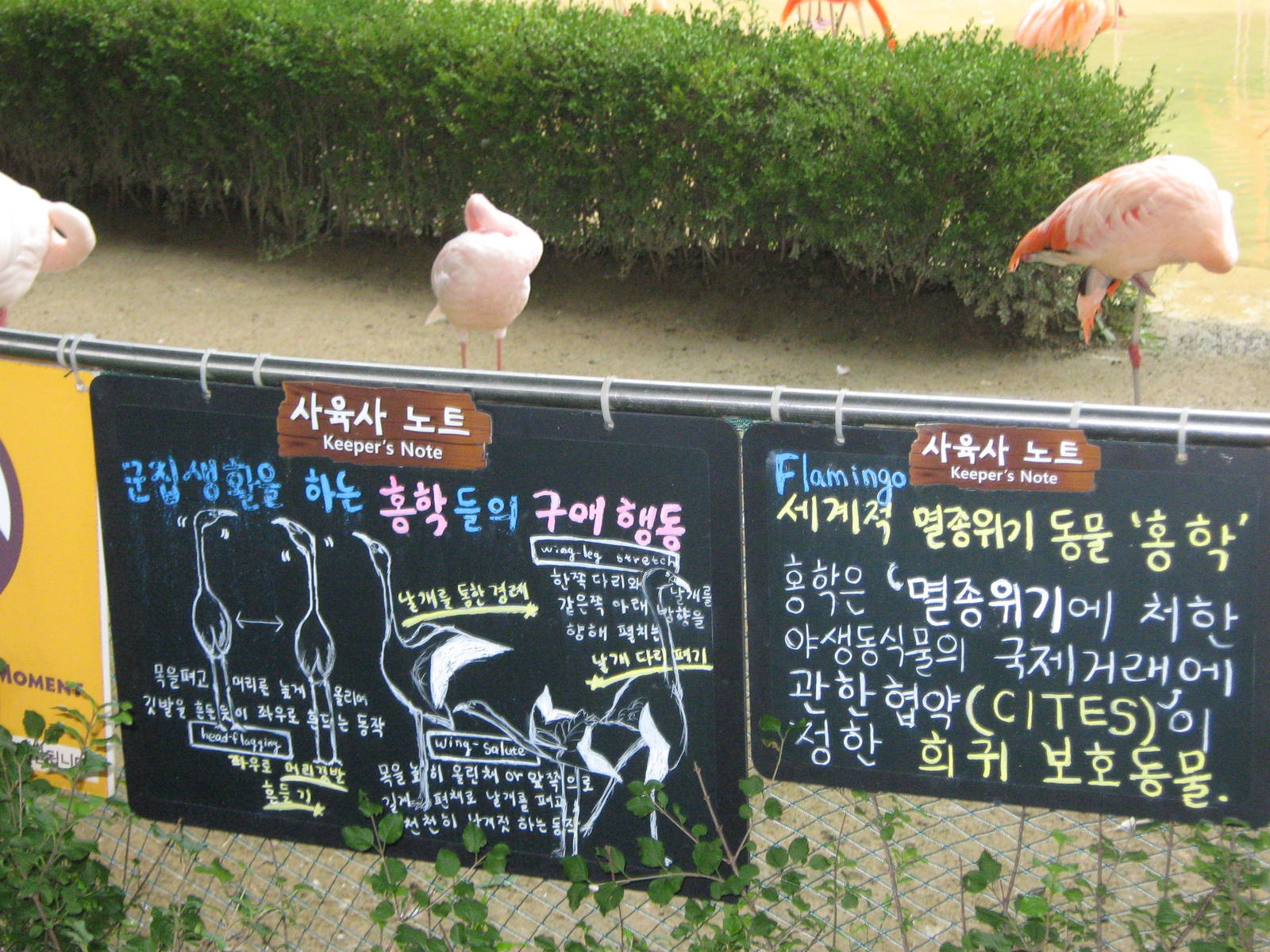 flamingo signage