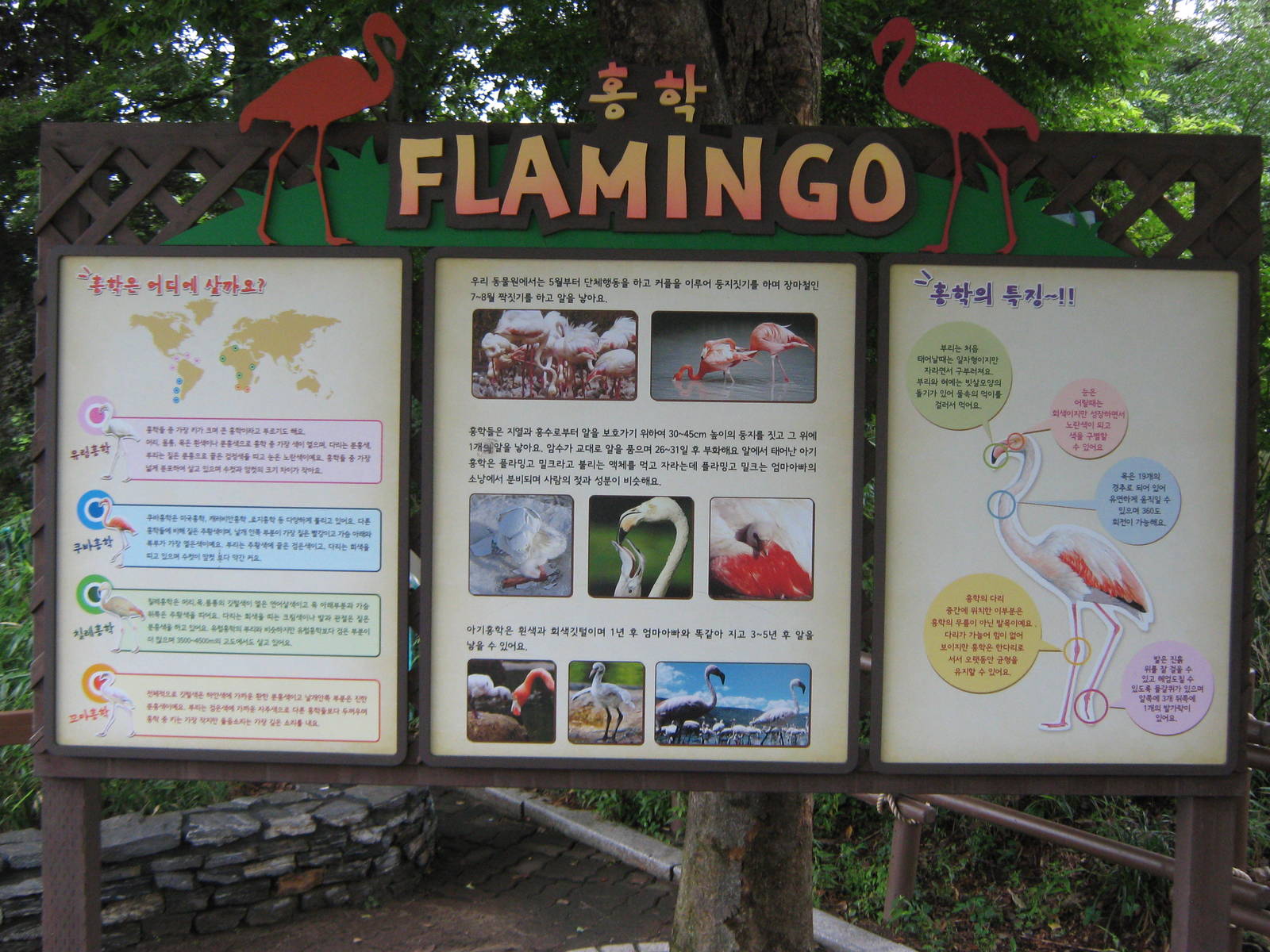 flamingo signage