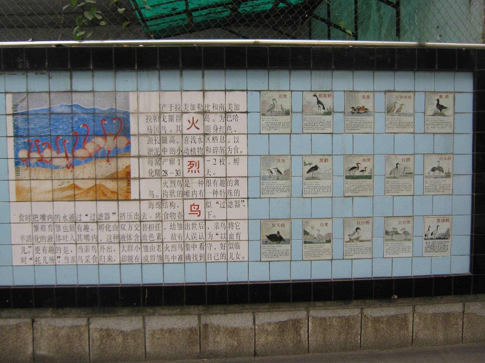flamingo tile signage