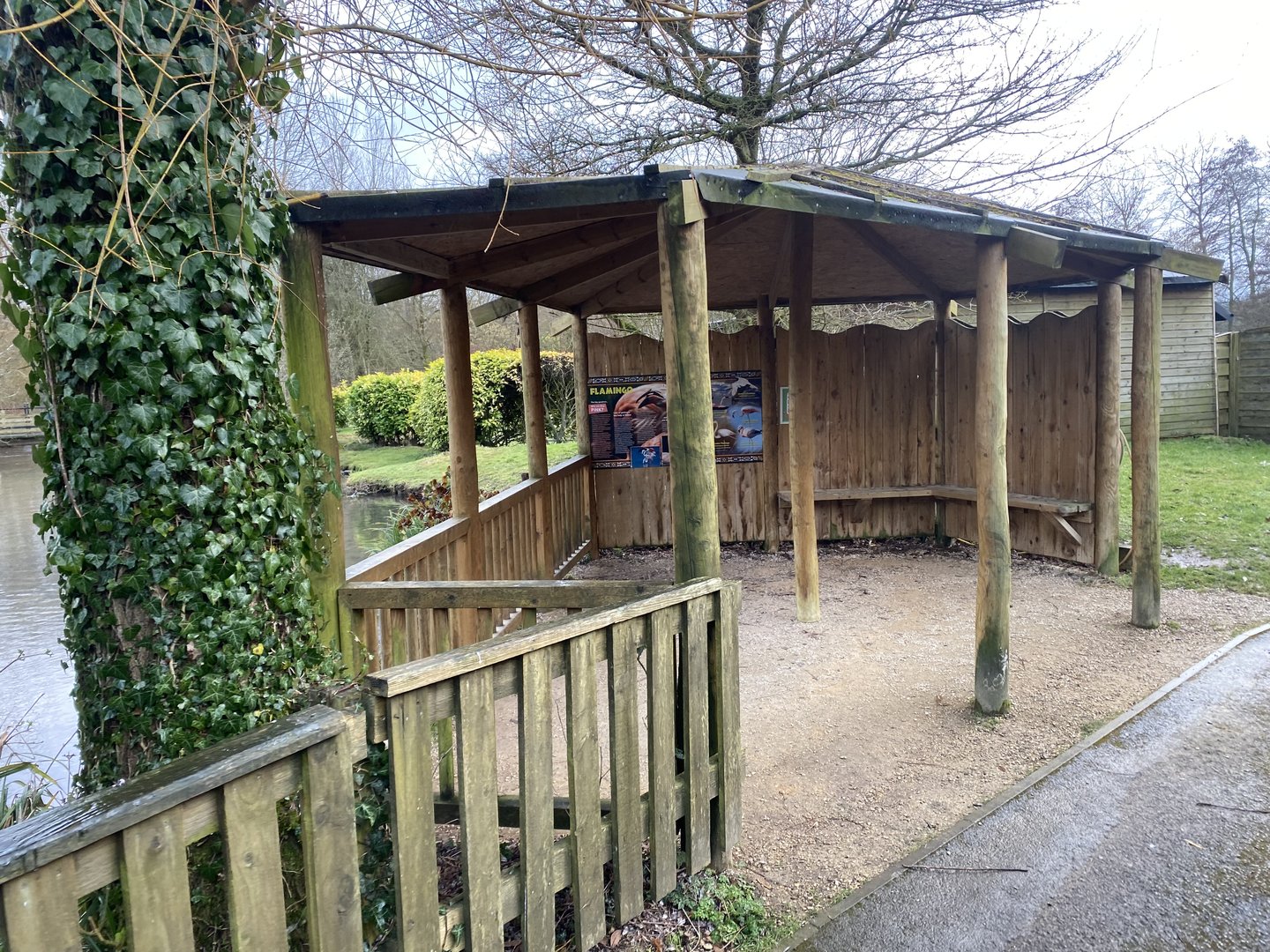 Flamingo viewing area 010323