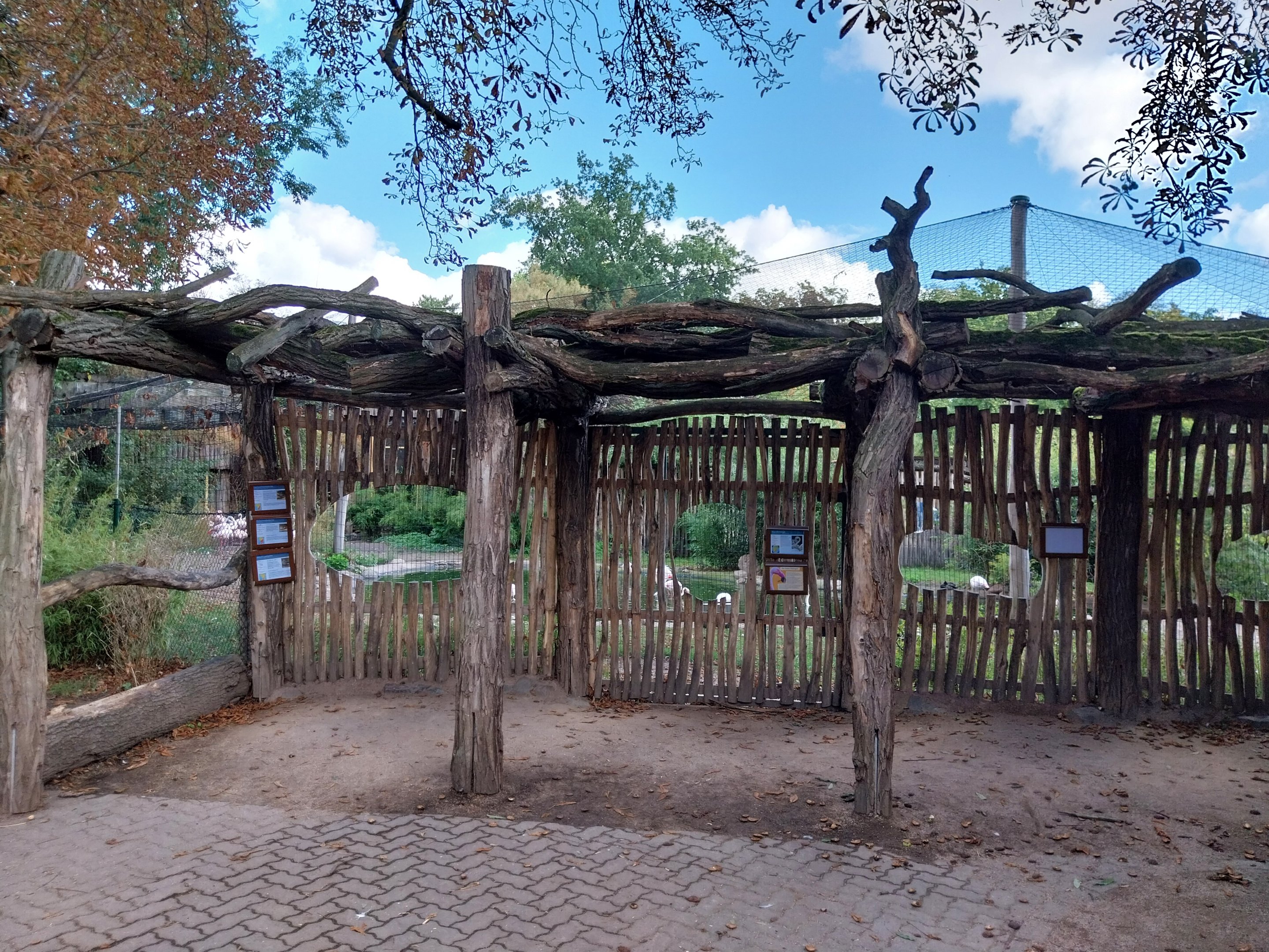 Flamingo viewing point