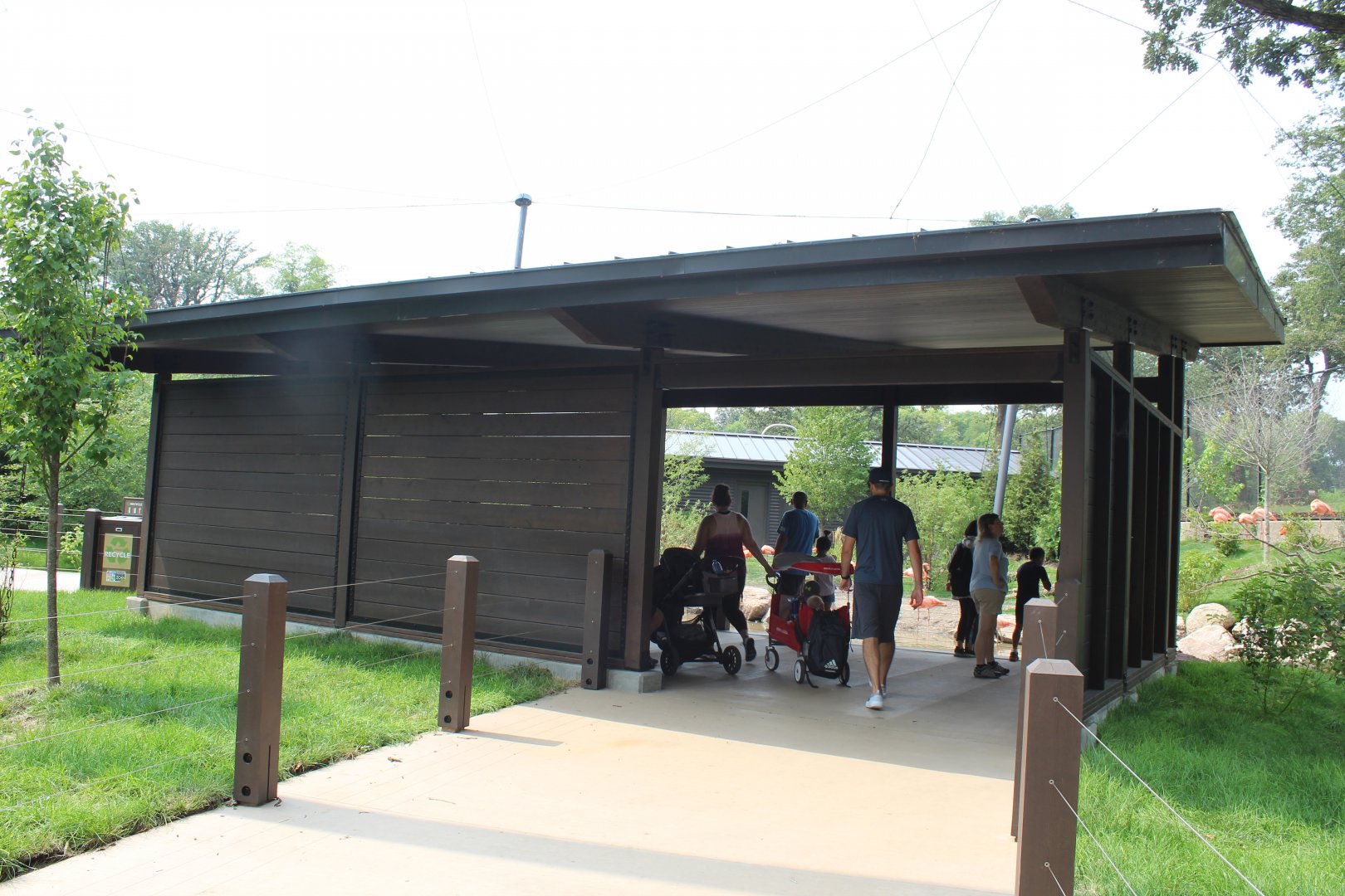 Flamingo Viewing Shelter - Simmons Aviary
